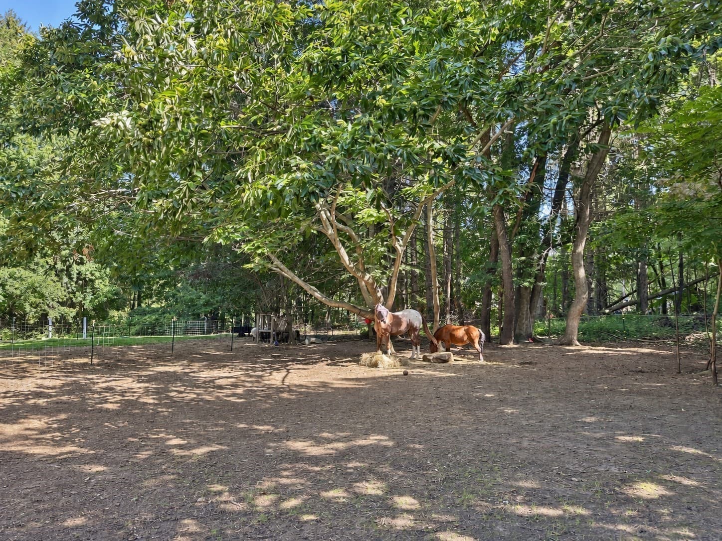 Equestrian at 5 Putnam Hill Rd, Sutton MA 01590, Sutton, photo 31 of 35