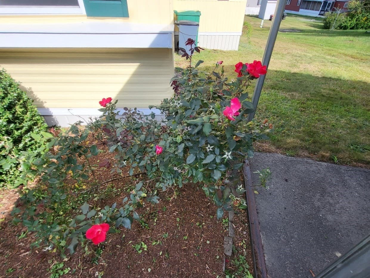 Mobile Home at 45 Redwood Drive, Halifax MA 02338, Halifax, photo 22 of 24