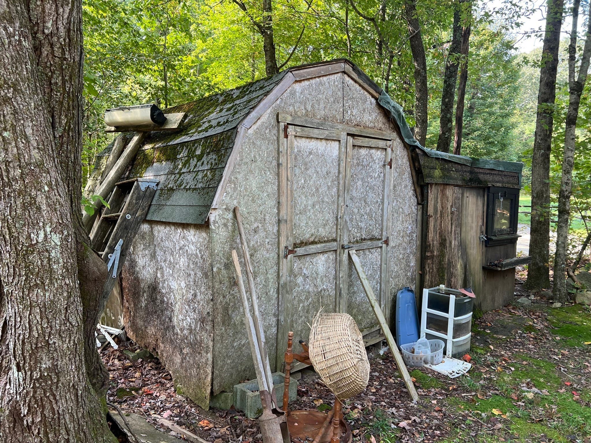 Farm at 296 Yew St, Douglas MA 01516, photo 11 of 27