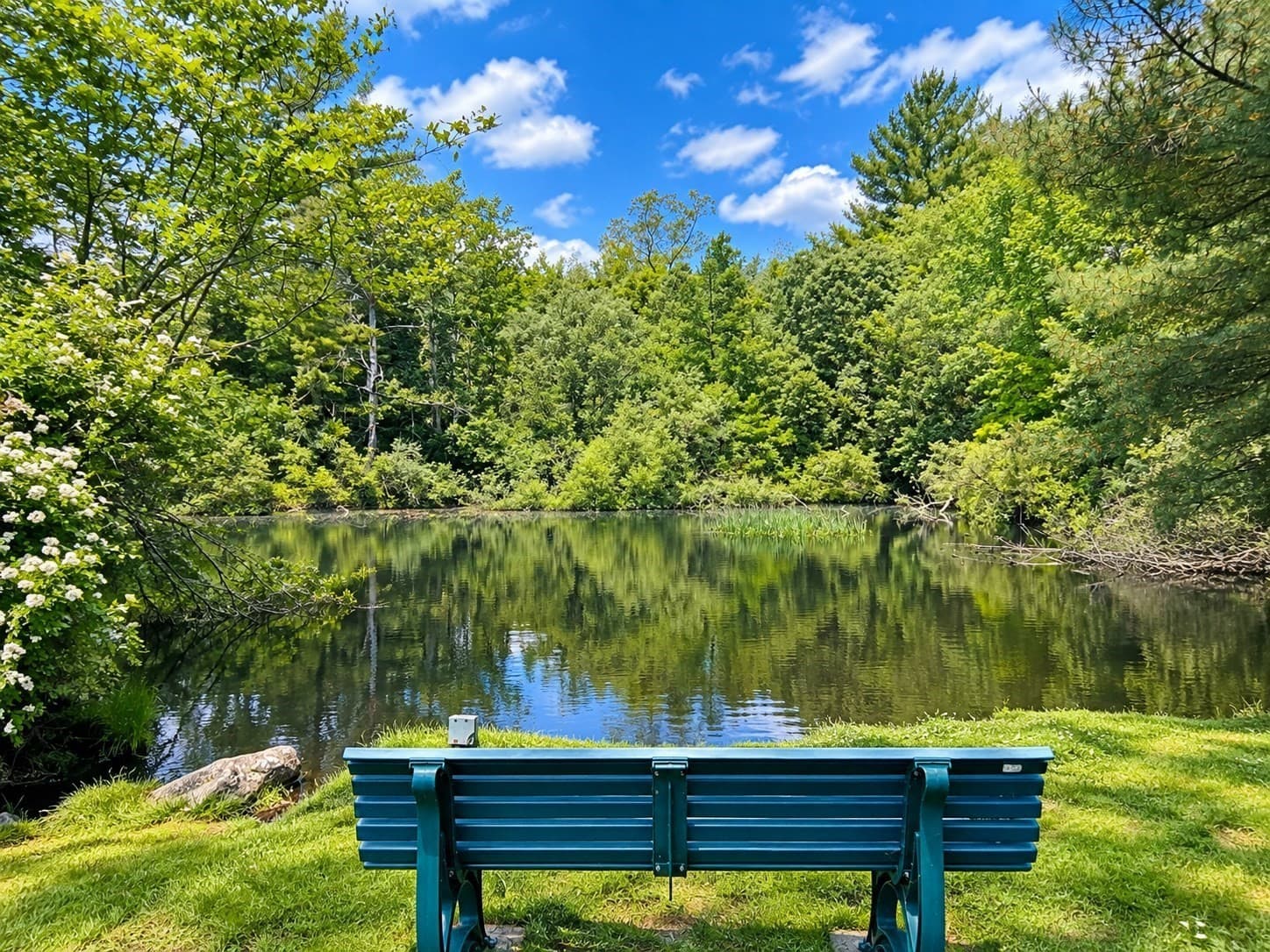 Condominium at 91 Rosewood Dr # 91, Stoughton MA 02072, Stoughton, photo 12 of 12