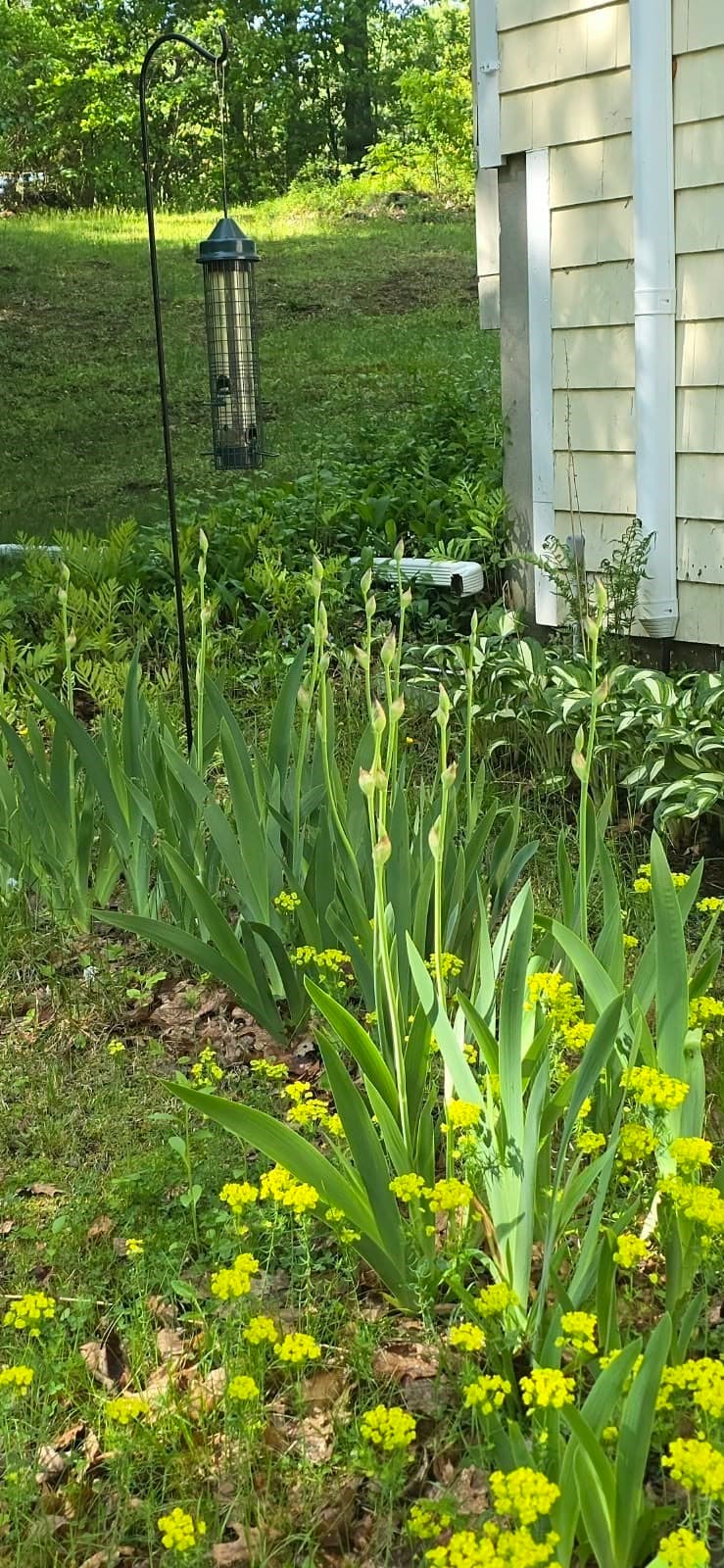 Single Family Residence at 320 Newton Street, Northborough MA 01532, Northborough, photo 35 of 40
