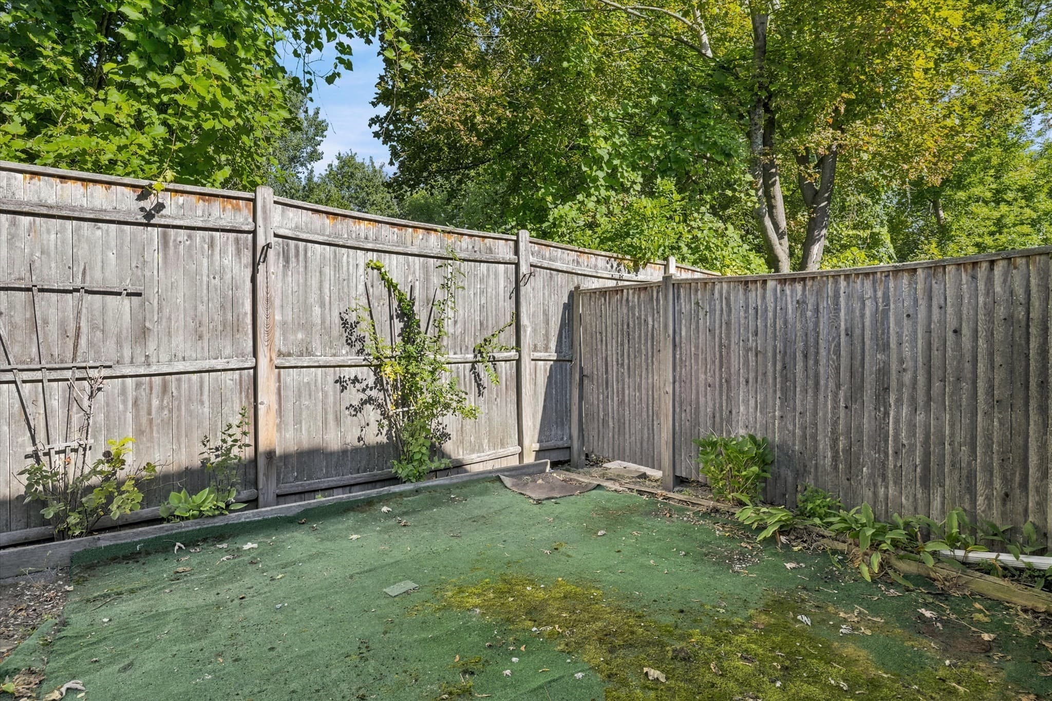 Condominium at 59 Holyoke # 3, Lynn MA 01905, Lynn, photo 36 of 41
