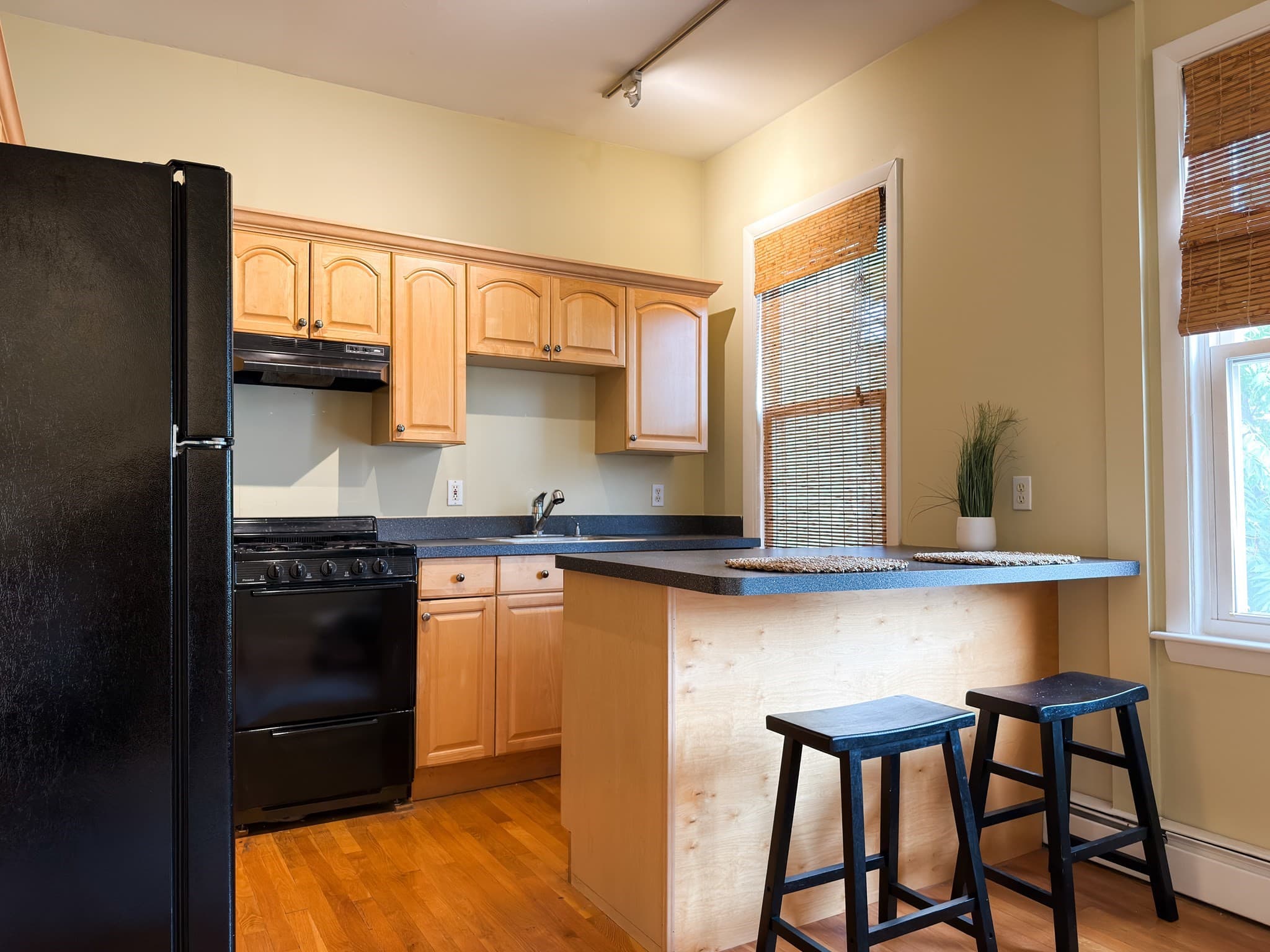 Condominium at 392 Norfolk St # 2, Cambridge MA 02139, Cambridge, photo 6 of 12