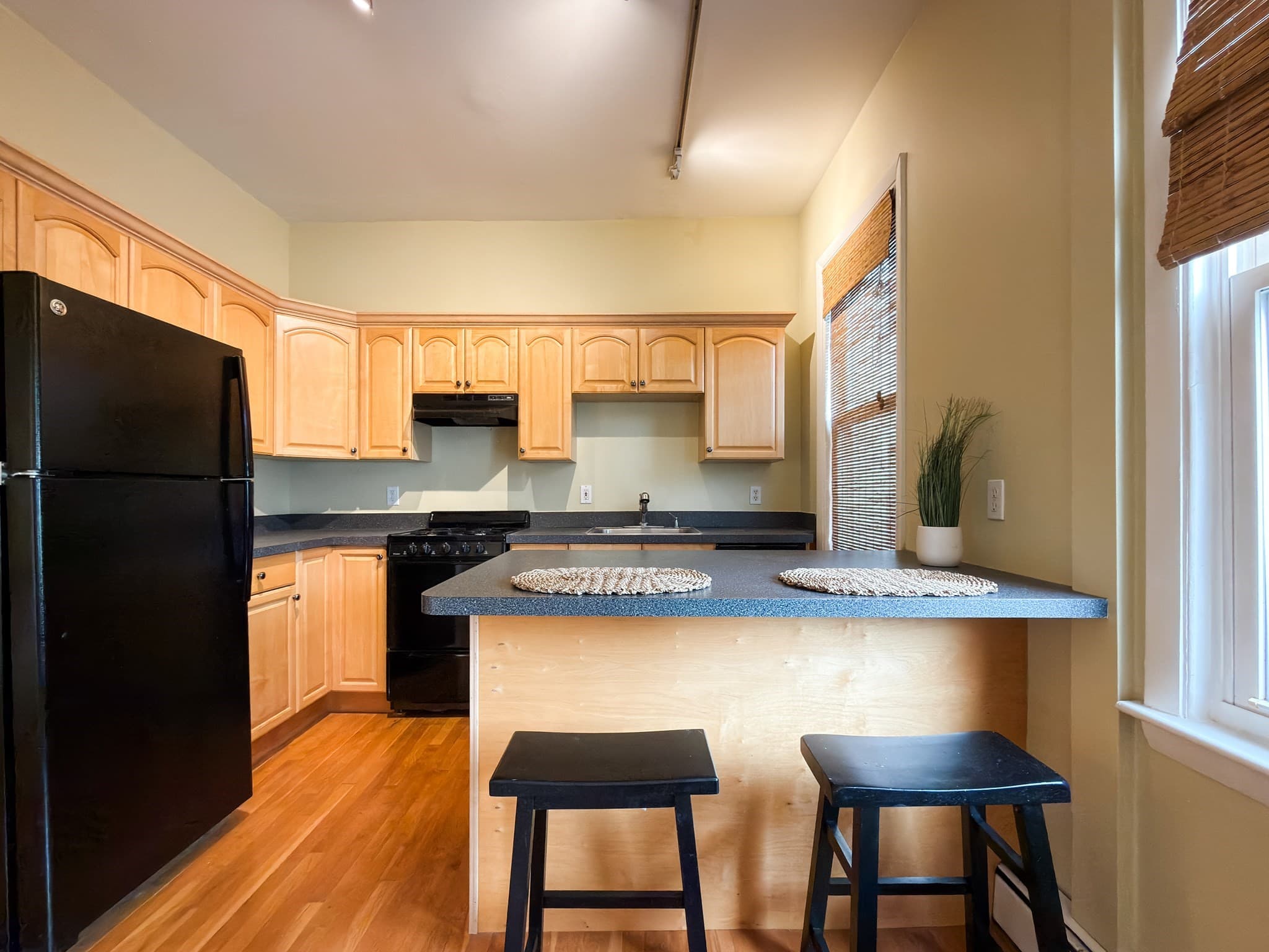 Condominium at 392 Norfolk St # 2, Cambridge MA 02139, Cambridge, photo 7 of 12