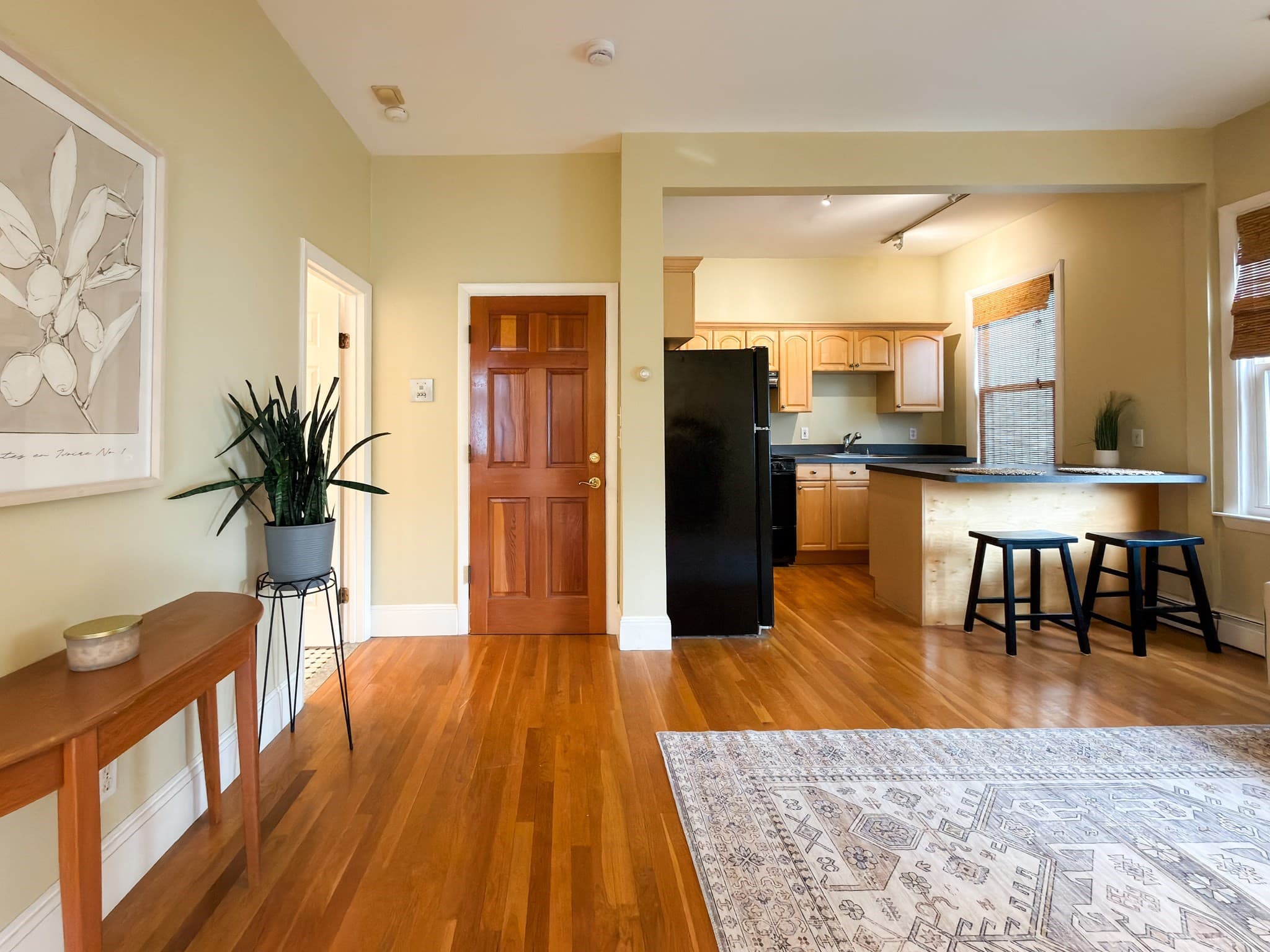 Condominium at 392 Norfolk St # 2, Cambridge MA 02139, Cambridge, photo 3 of 12