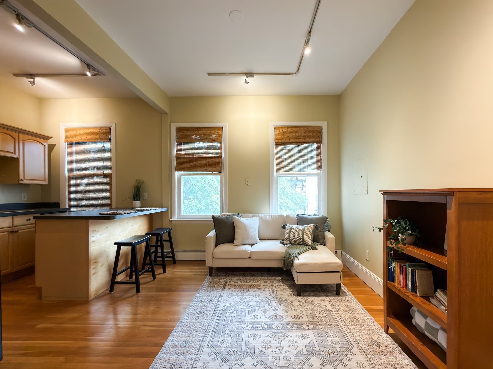 Condominium at 392 Norfolk St # 2, Cambridge MA 02139, Cambridge, photo 5 of 12