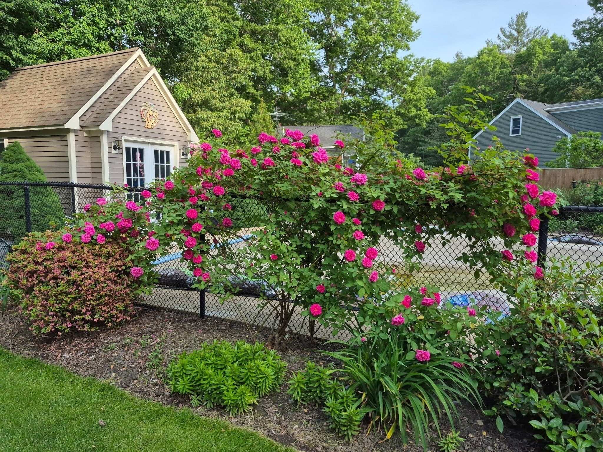 Single Family Residence at 345 Grange Park, Bridgewater MA 02324, Bridgewater, photo 36 of 42