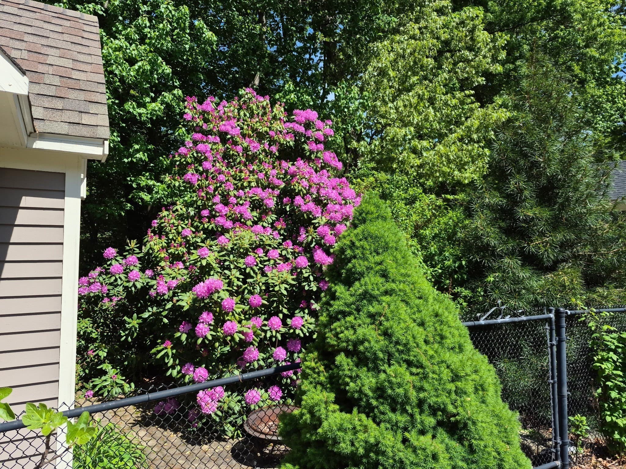 Single Family Residence at 345 Grange Park, Bridgewater MA 02324, Bridgewater, photo 38 of 42