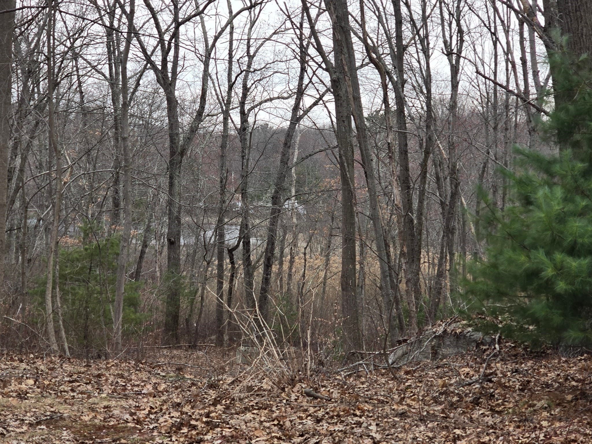 Residential at 0 Chester Street, North Smithfield RI 02896, North Smithfield, photo 10 of 13