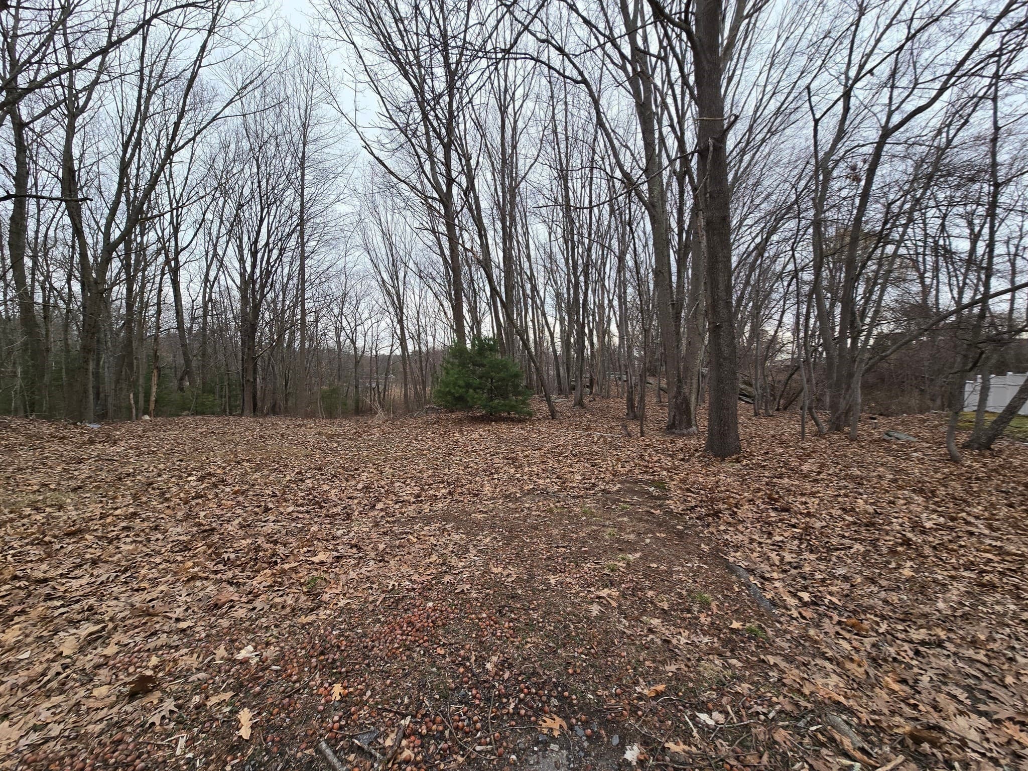 Residential at 0 Chester Street, North Smithfield RI 02896, North Smithfield, photo 11 of 13