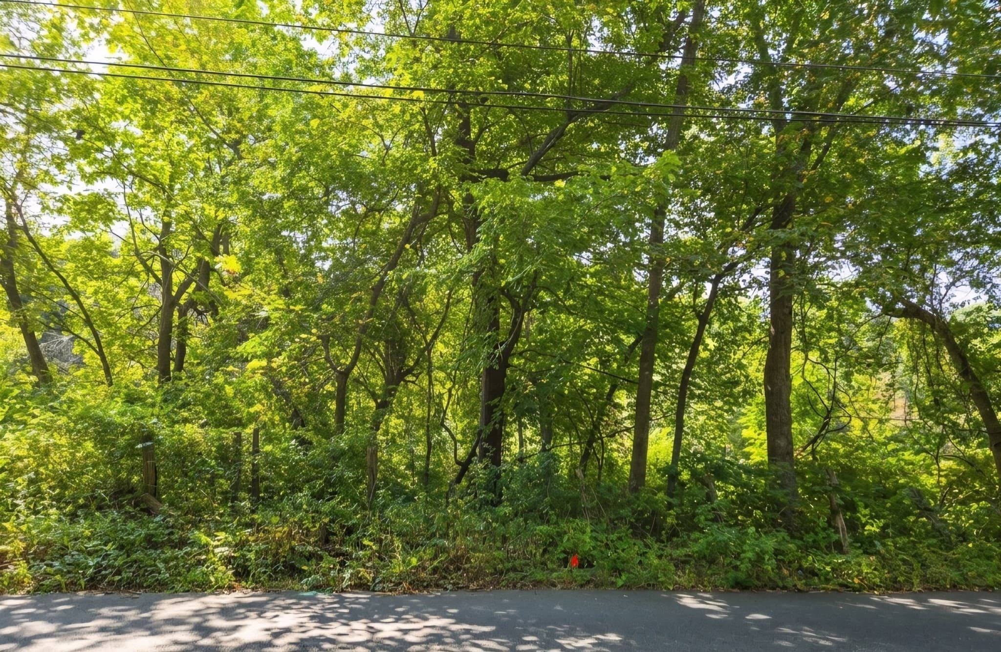 Lot B Pochassic Road, Westfield MA 01085