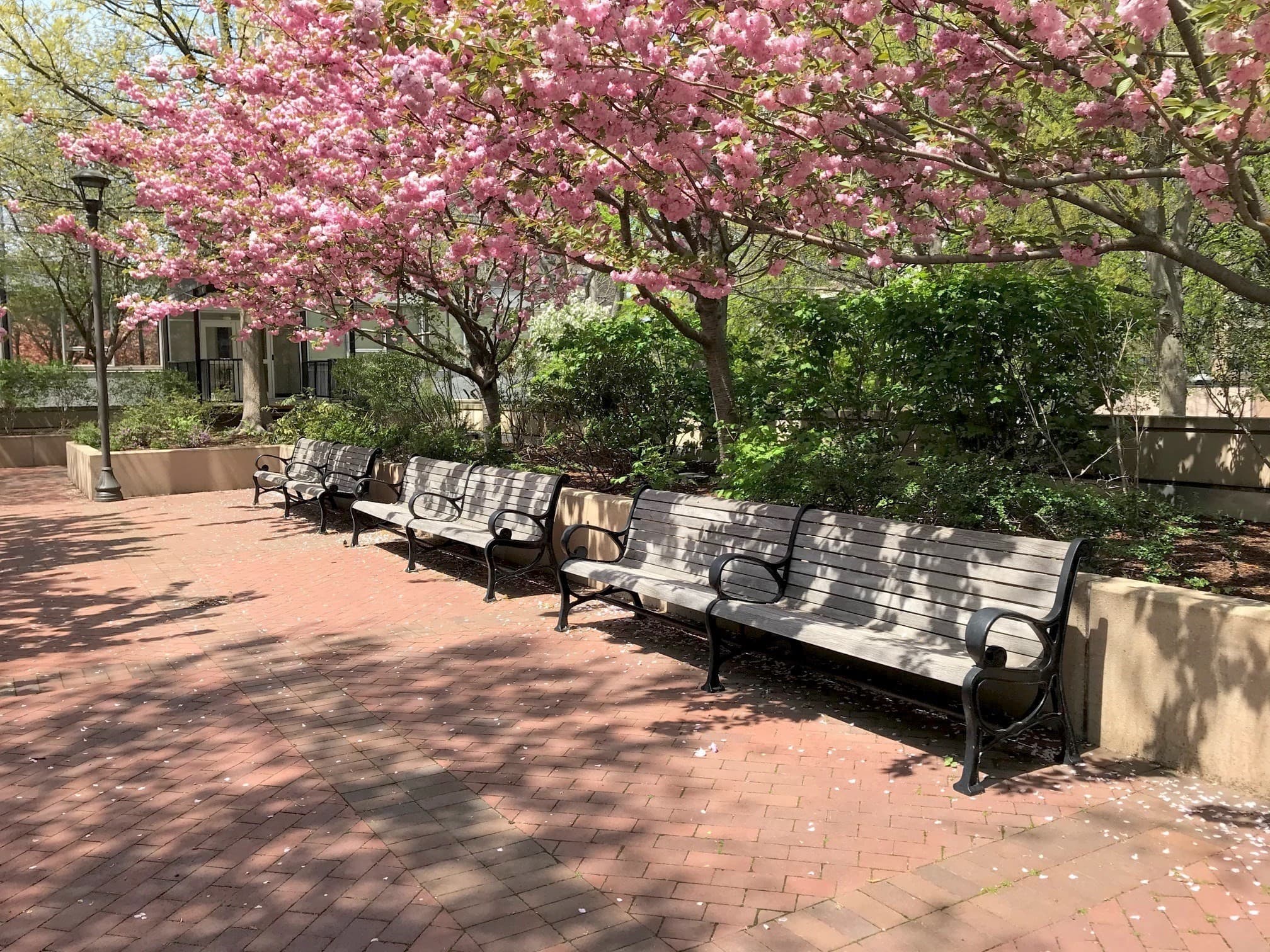 Condominium at 9 Hawthorne Place # 7G, Boston MA 02114, Boston, photo 17 of 19