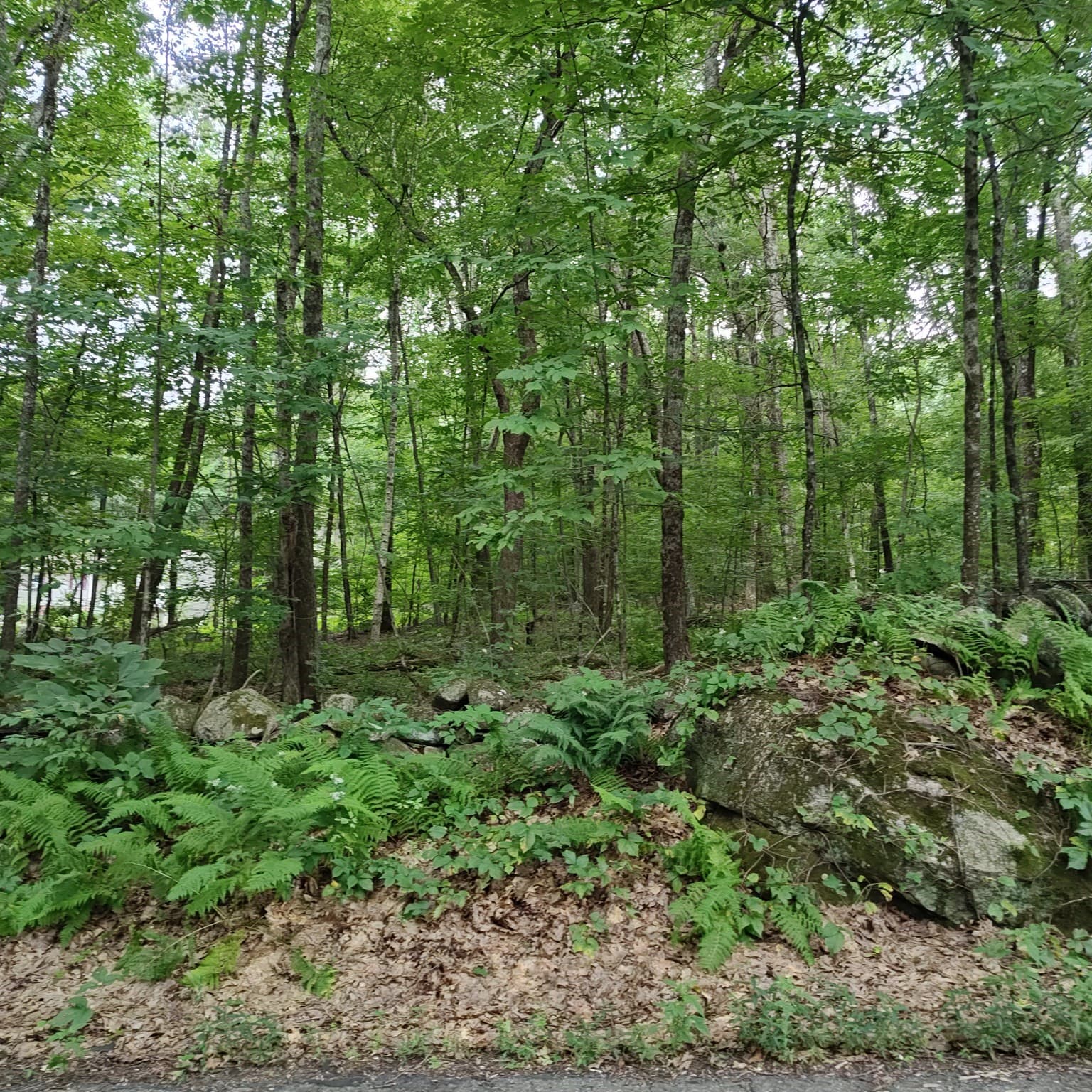 Residential at 0 Old West Brookfield Rd, Warren MA 01083, Warren, photo 2 of 5