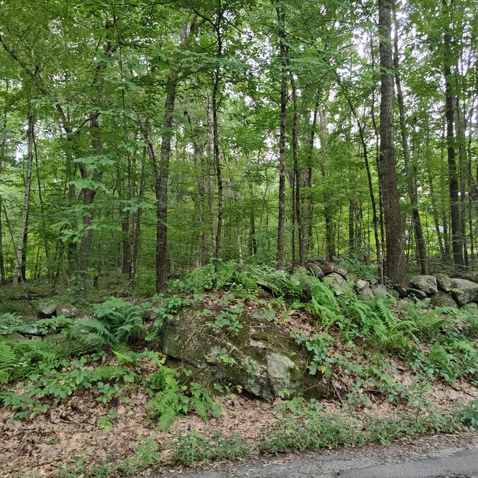 Residential at 0 Old West Brookfield Rd, Warren MA 01083, Warren, photo 3 of 5