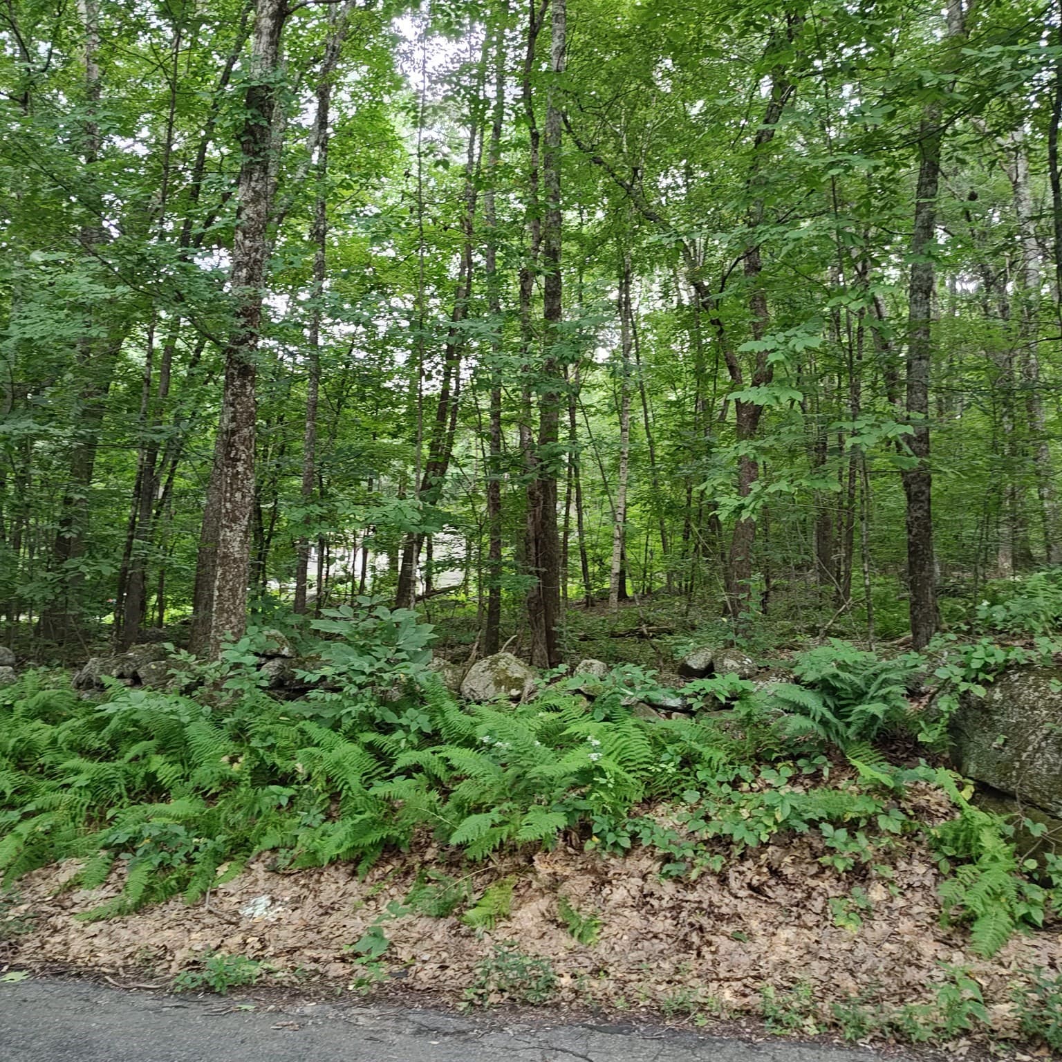 0 Old West Brookfield Rd, Warren MA 01083