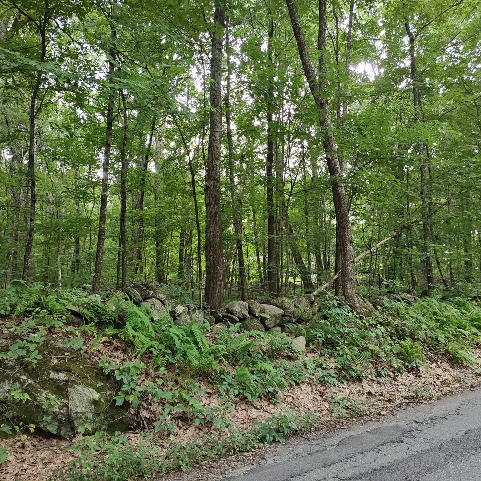 Residential at 0 Old West Brookfield Rd, Warren MA 01083, Warren, photo 4 of 5