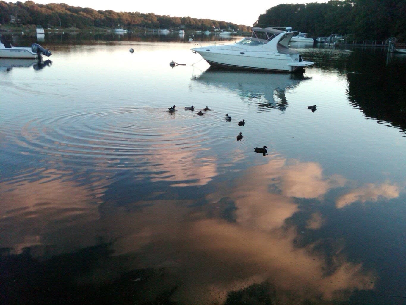 Condominium at 94 Forest Glade # 142, Falmouth MA 02536, Falmouth, photo 30 of 42