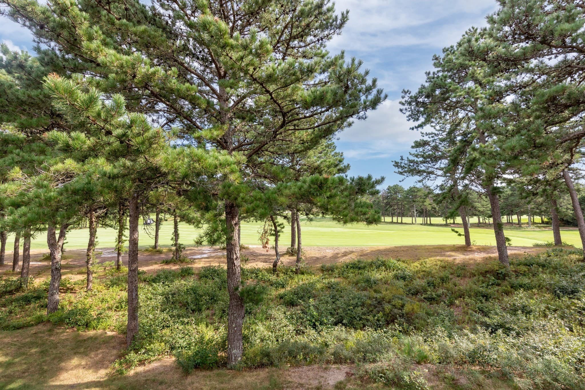 Condominium at 70 Benjamins Gate # 70, Plymouth MA 02360, Plymouth, photo 40 of 42