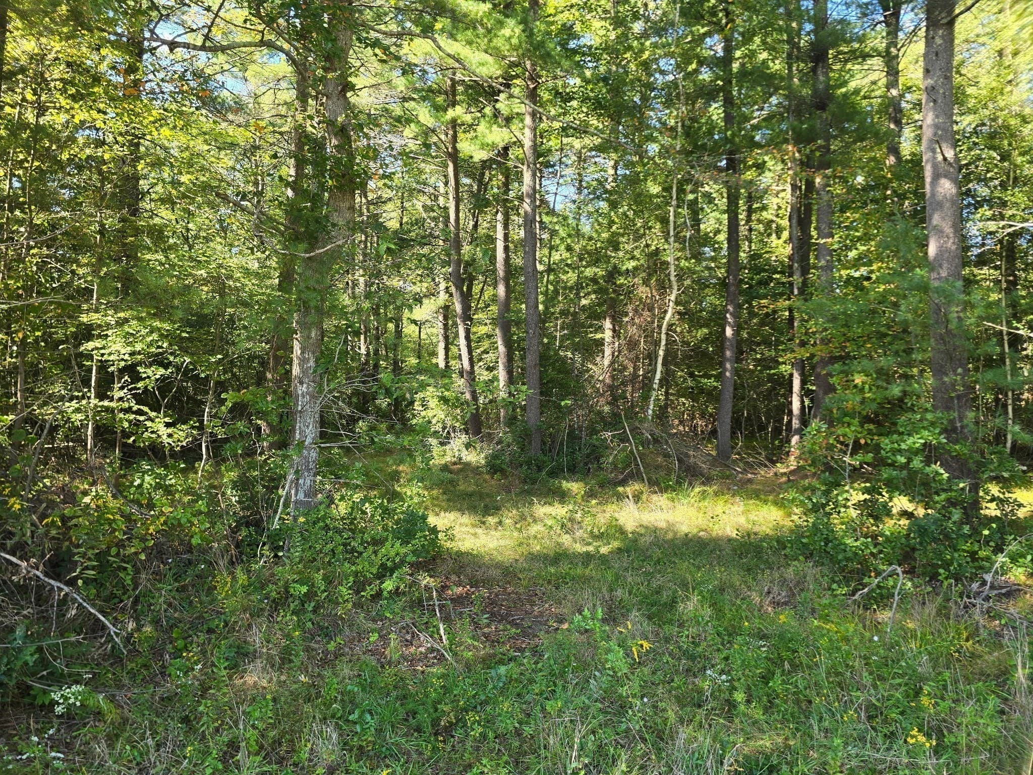 Residential at Lot 1 Montgomery Street, Lakeville MA 02347, Lakeville, photo 9 of 13