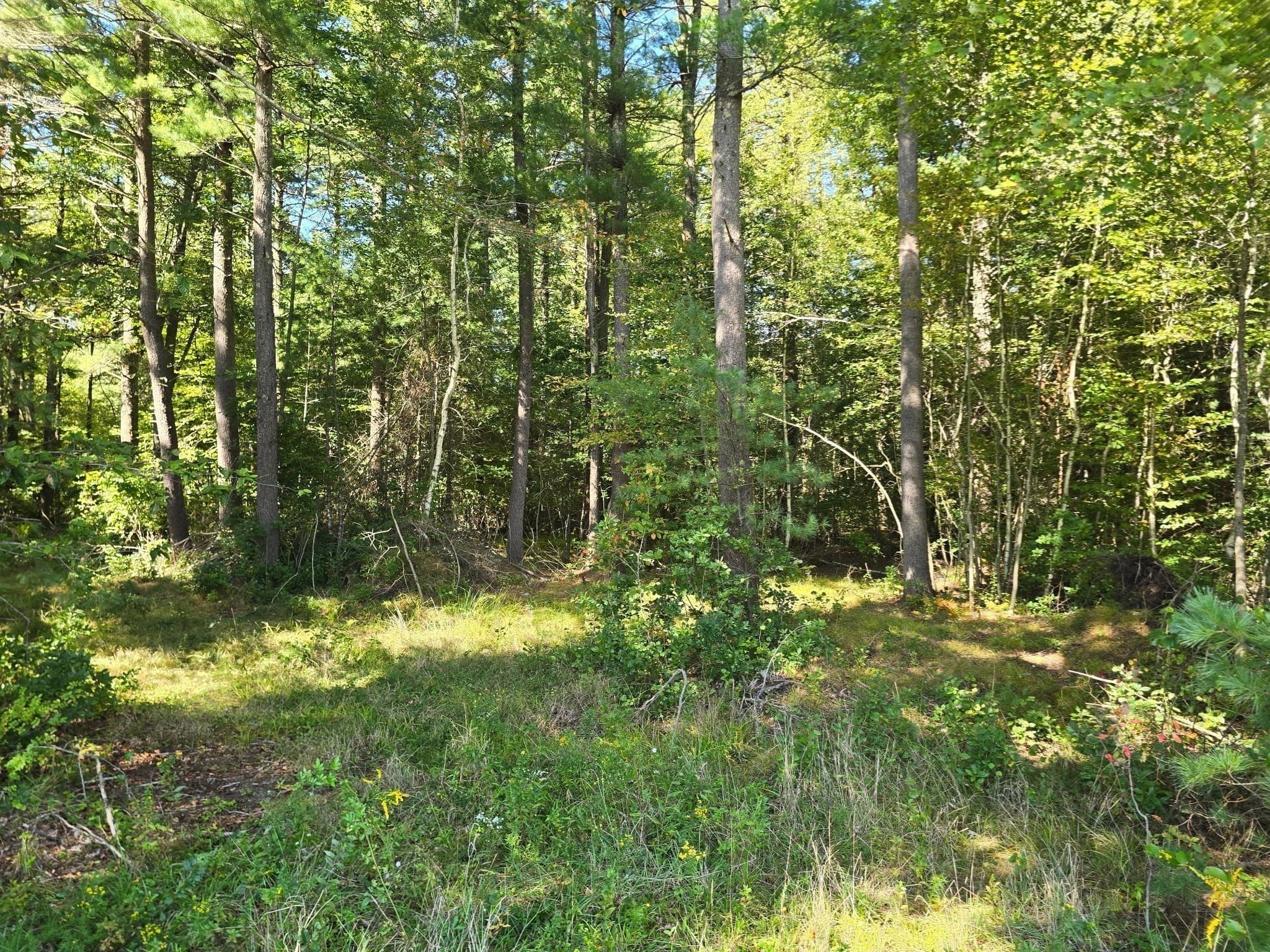 Residential at Lot 1 Montgomery Street, Lakeville MA 02347, Lakeville, photo 8 of 13