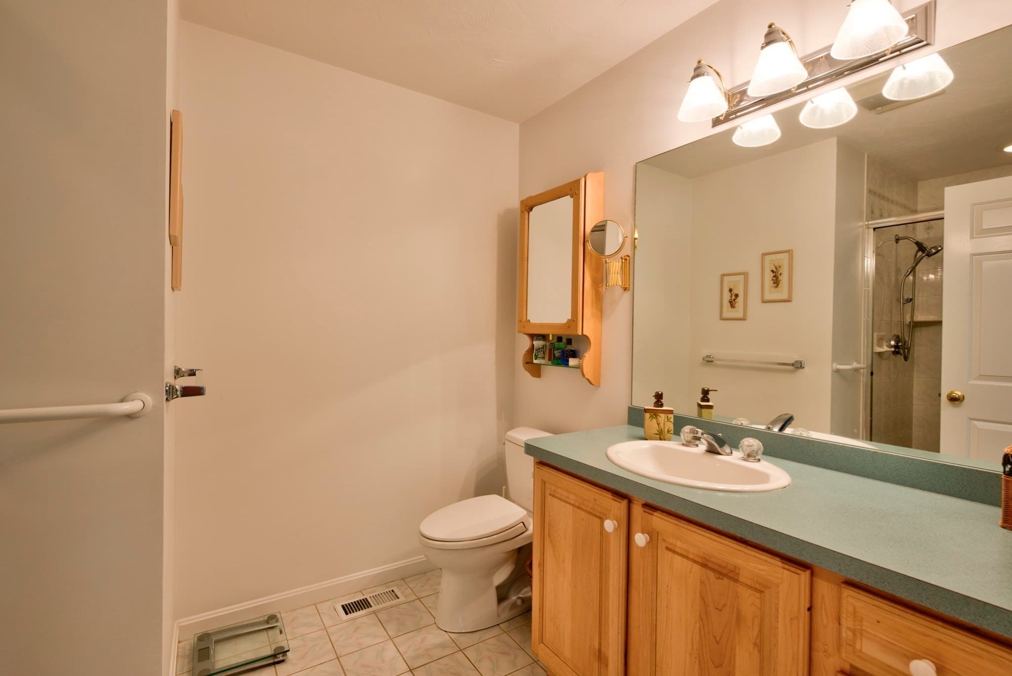 Condominium at 5 Pear Tree Ln # 5, Franklin MA 02038, Franklin, photo 16 of 42