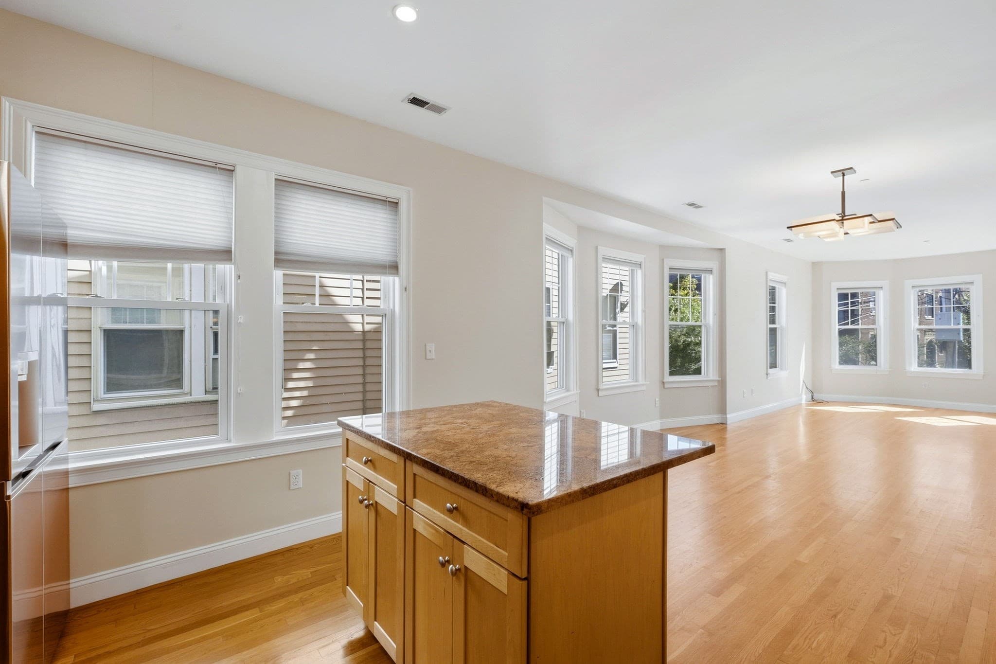 Condominium at 85-87 Francis St. # 3, Brookline MA 02446, Brookline, photo 19 of 35