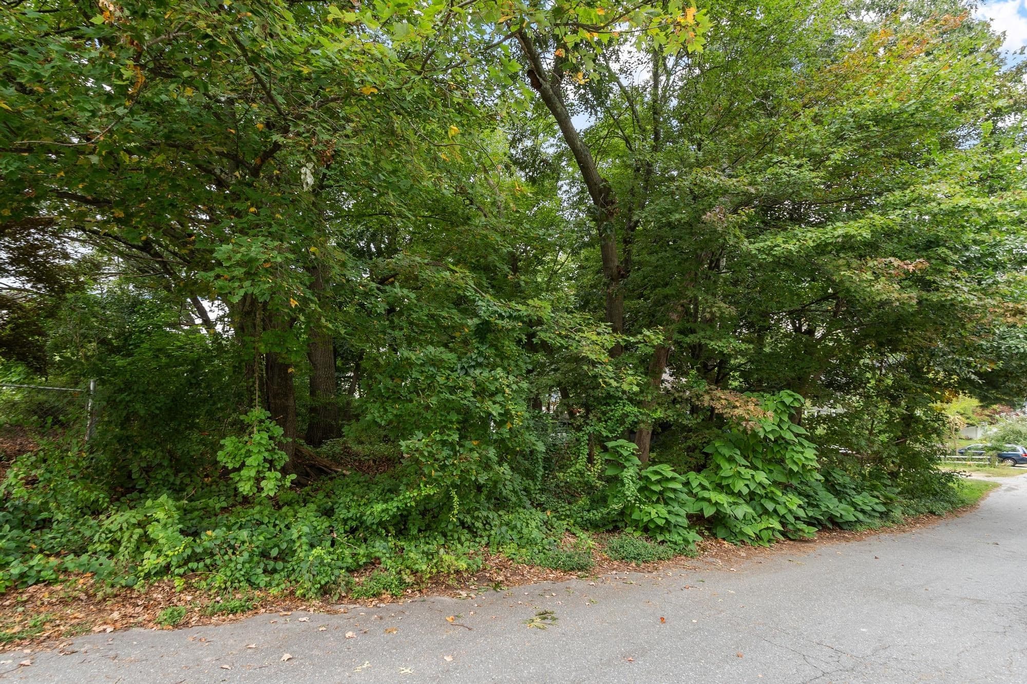 Residential at 16 Holt, Chelmsford MA 01863, Chelmsford, photo 3 of 14