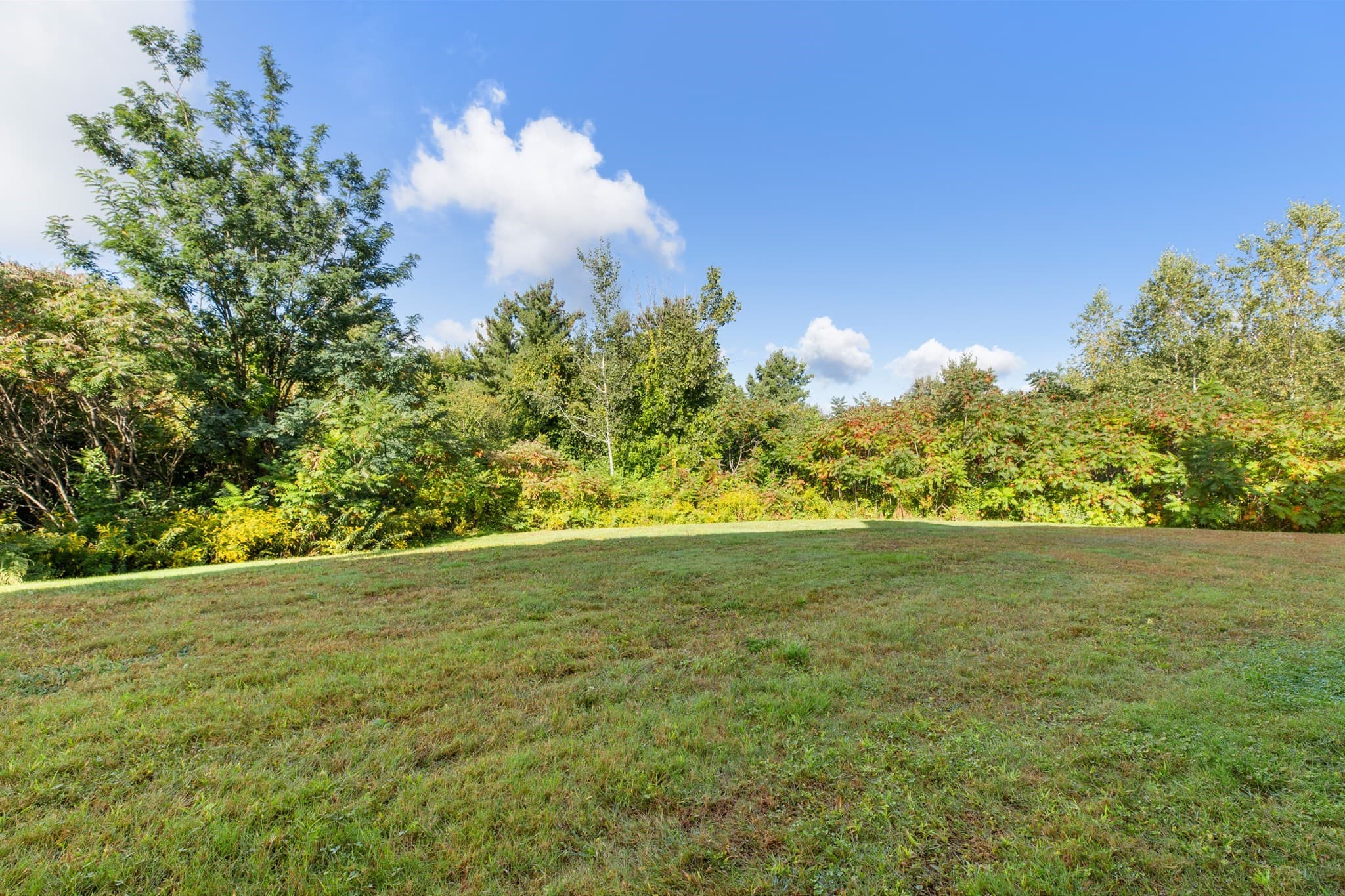 Condominium at 95 Green Briar Rd # 95, Fitchburg MA 01420, Fitchburg, photo 29 of 30