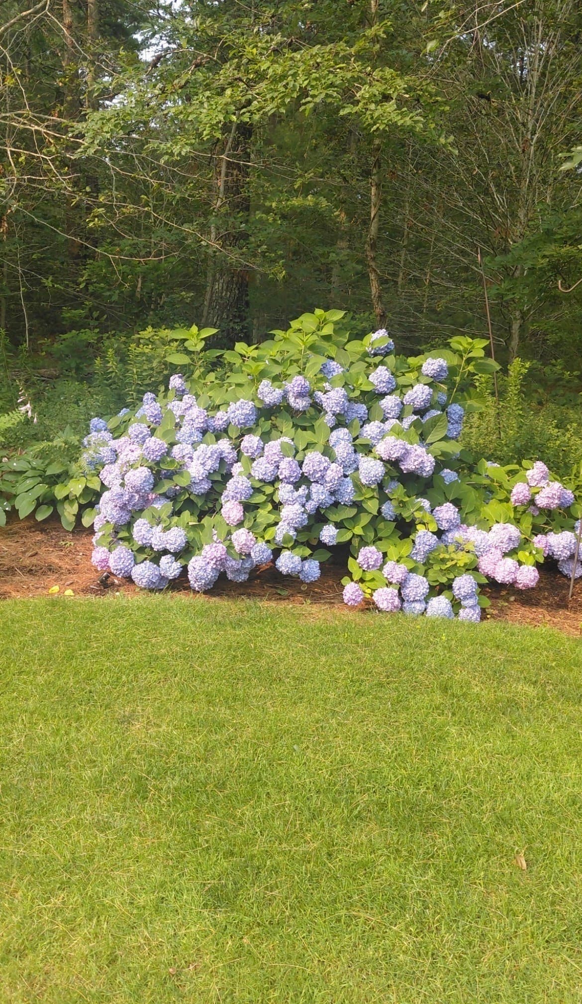 Single Family Residence at 15 Tobisset St, Mashpee MA 02649, Mashpee, photo 7 of 42