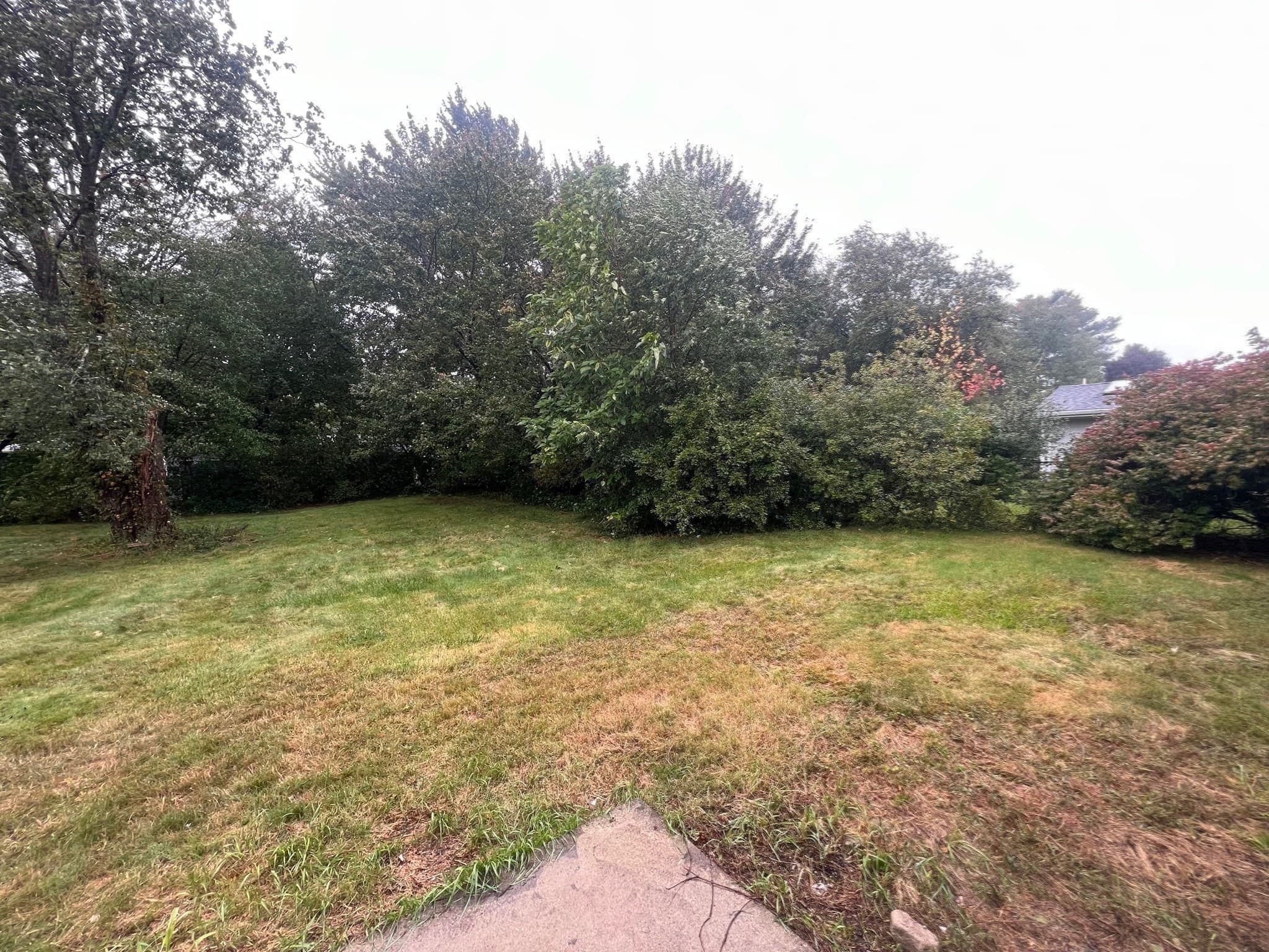 Single Family Residence at 47 Mercedes Rd, Brockton MA 02301, Brockton, photo 20 of 20