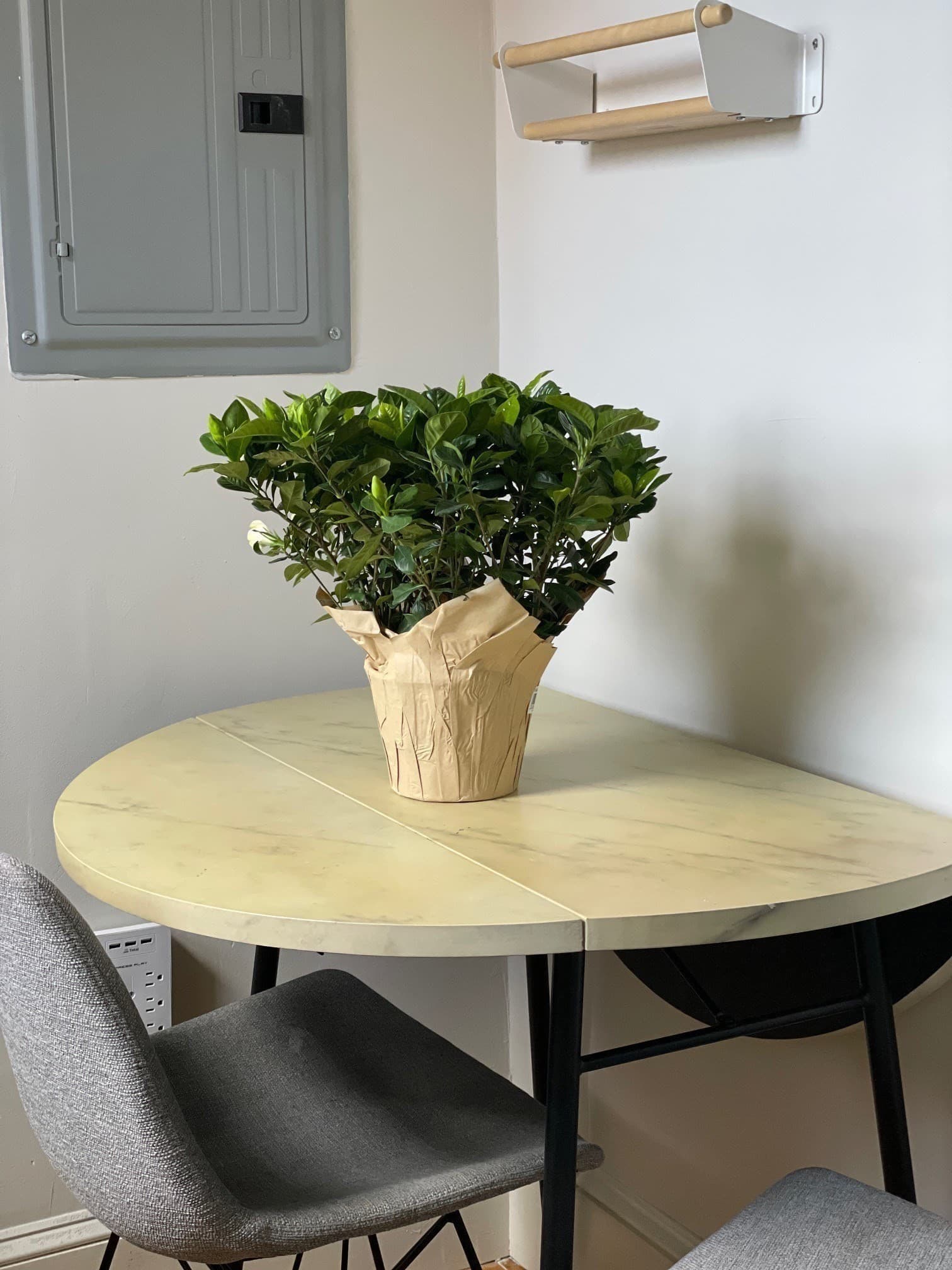 Condominium at 369 Tappan # 20, Brookline MA 02445, photo 6 of 16