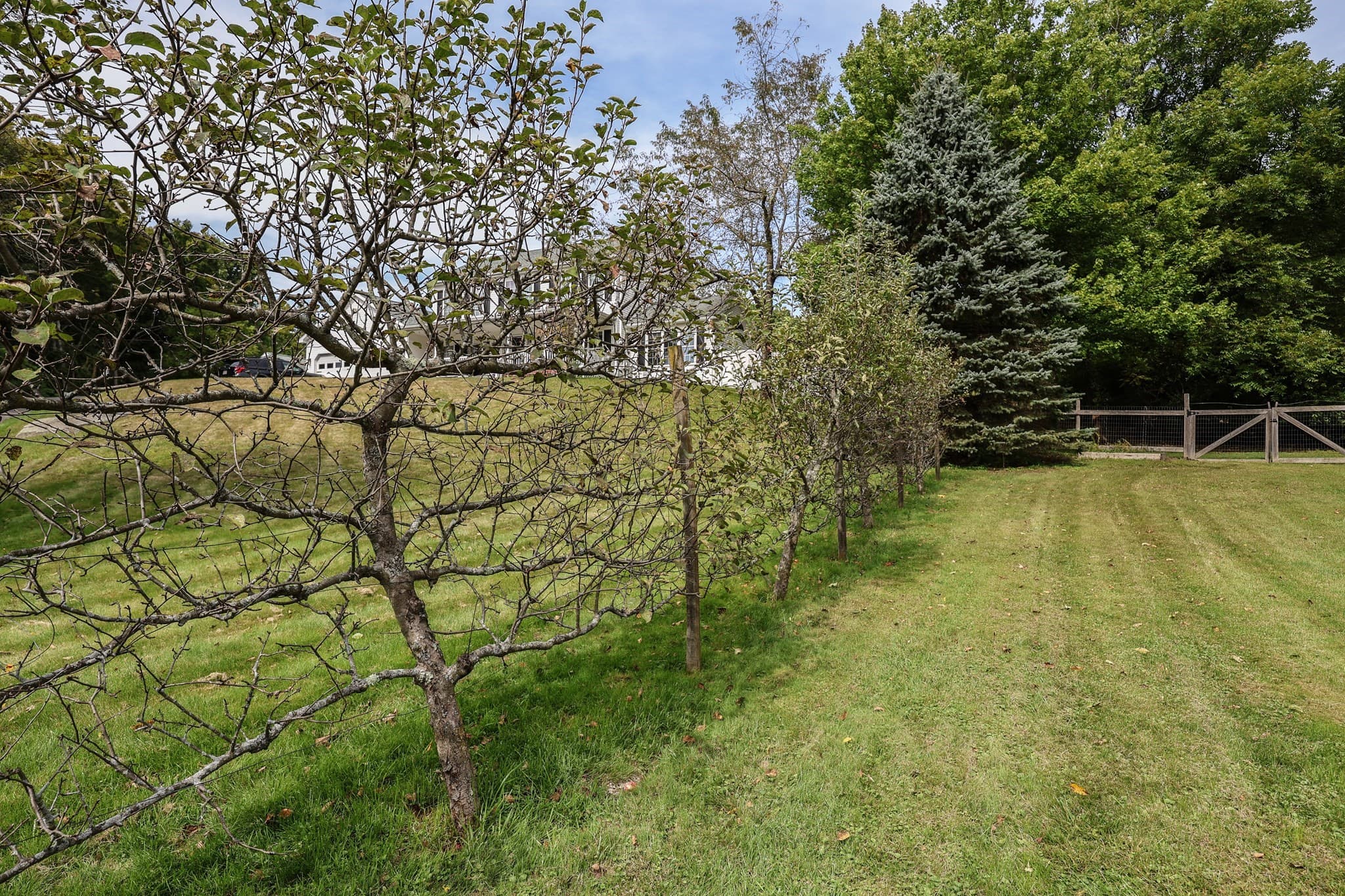 Single Family Residence at 162 Jackson, Belchertown MA 01007, Belchertown, photo 30 of 32