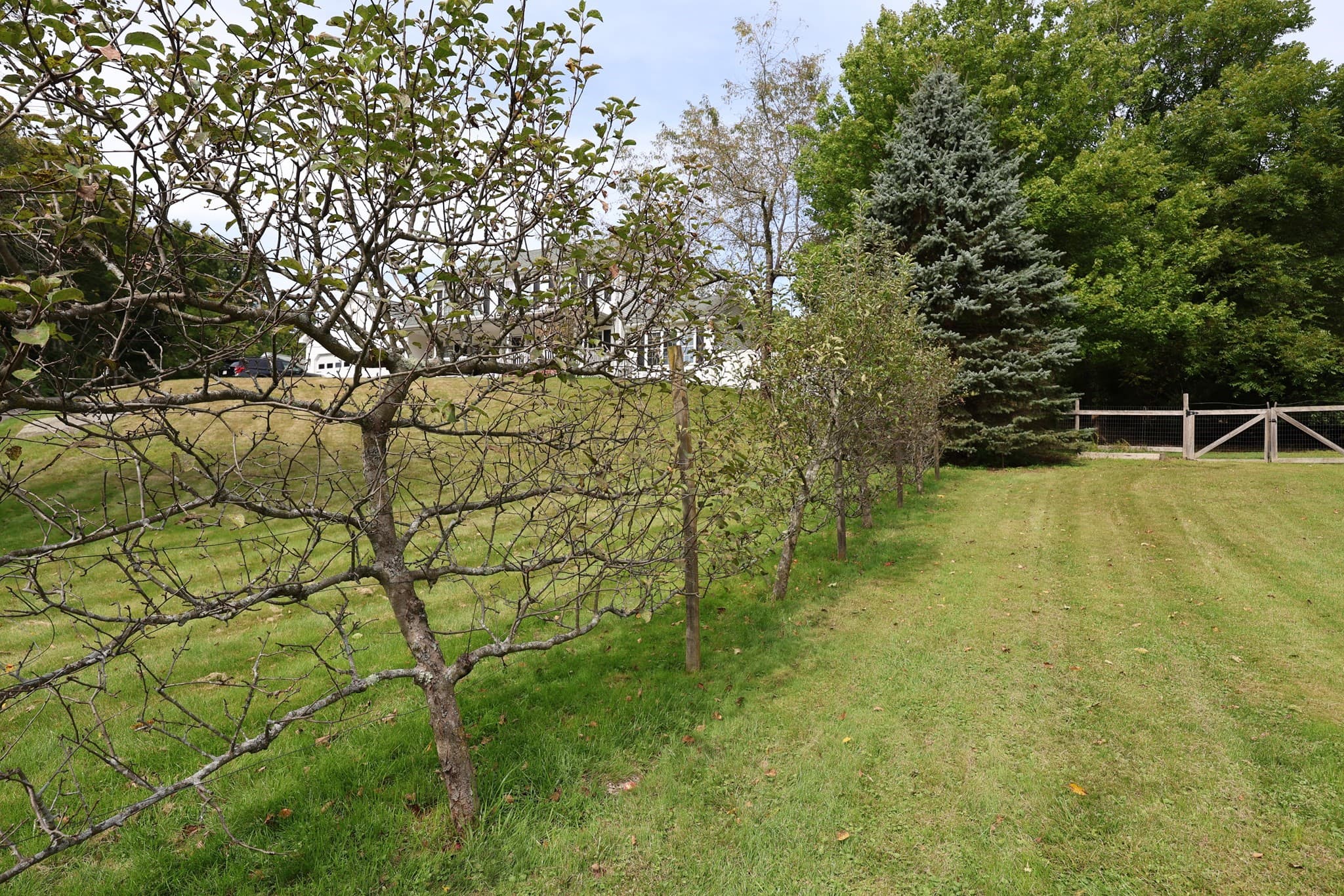 Single Family Residence at 162 Jackson, Belchertown MA 01007, Belchertown, photo 10 of 32