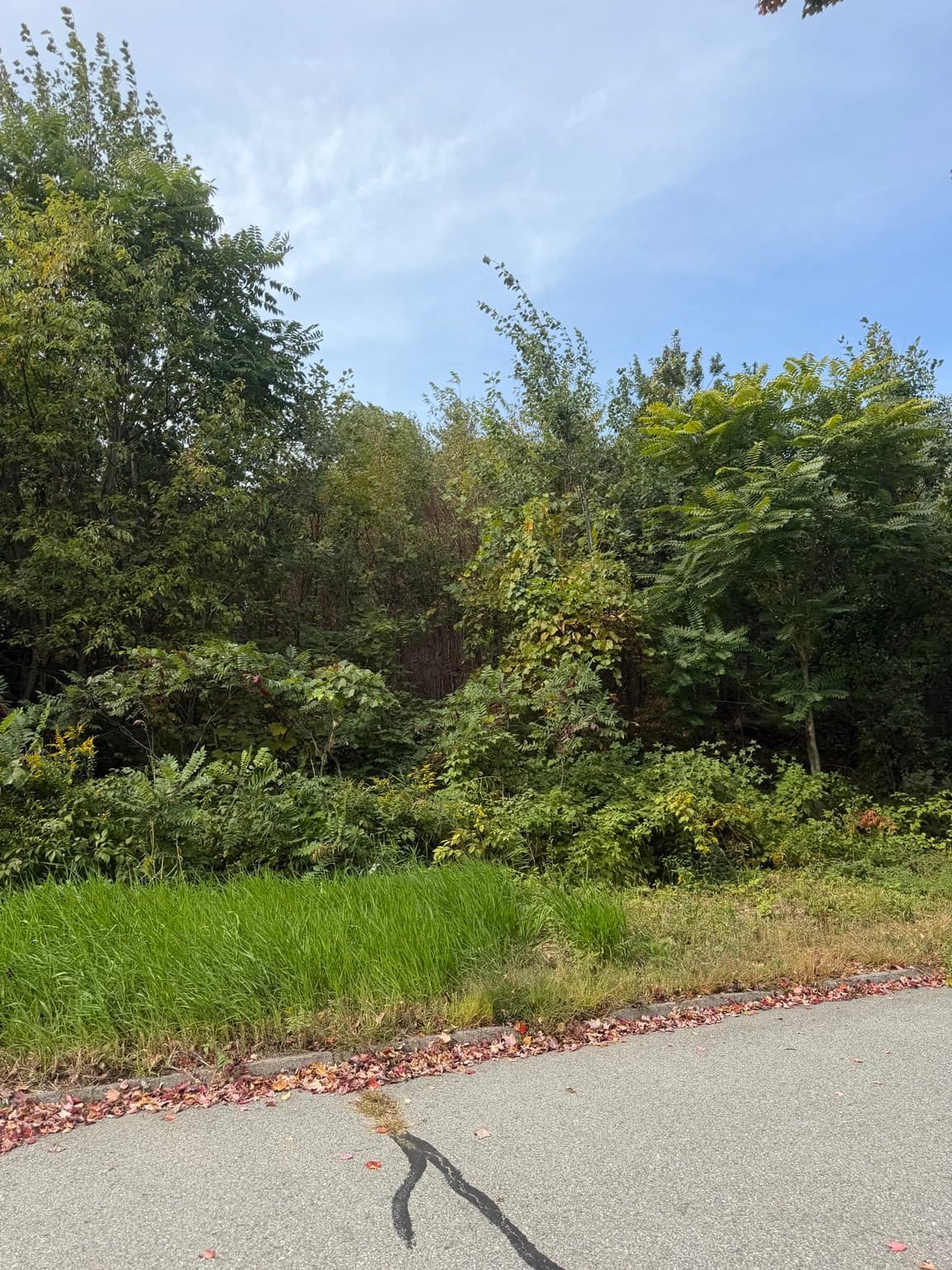 140 Woodridge Rd, Holden MA 01520