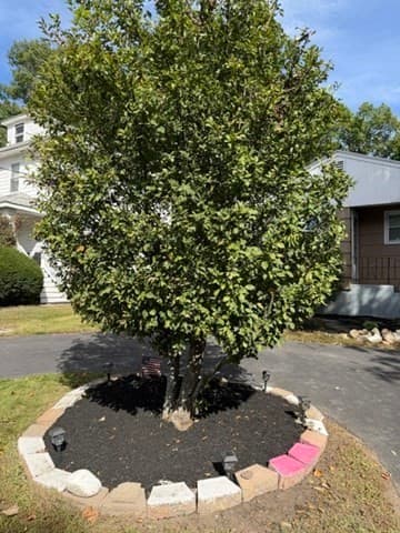 Single Family Residence at 186 Pearl St, Brockton MA 02301, Brockton, photo 4 of 22