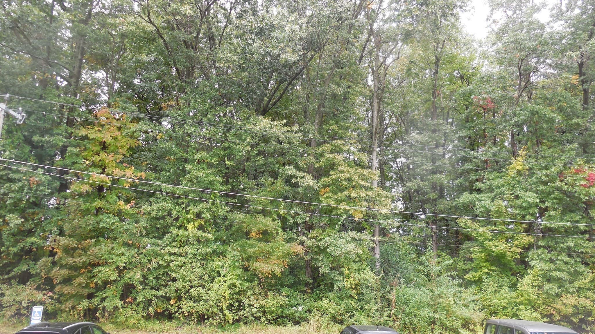 Condominium at 261 Regency Park Dr # 261, Agawam MA 01001, Agawam, photo 13 of 13