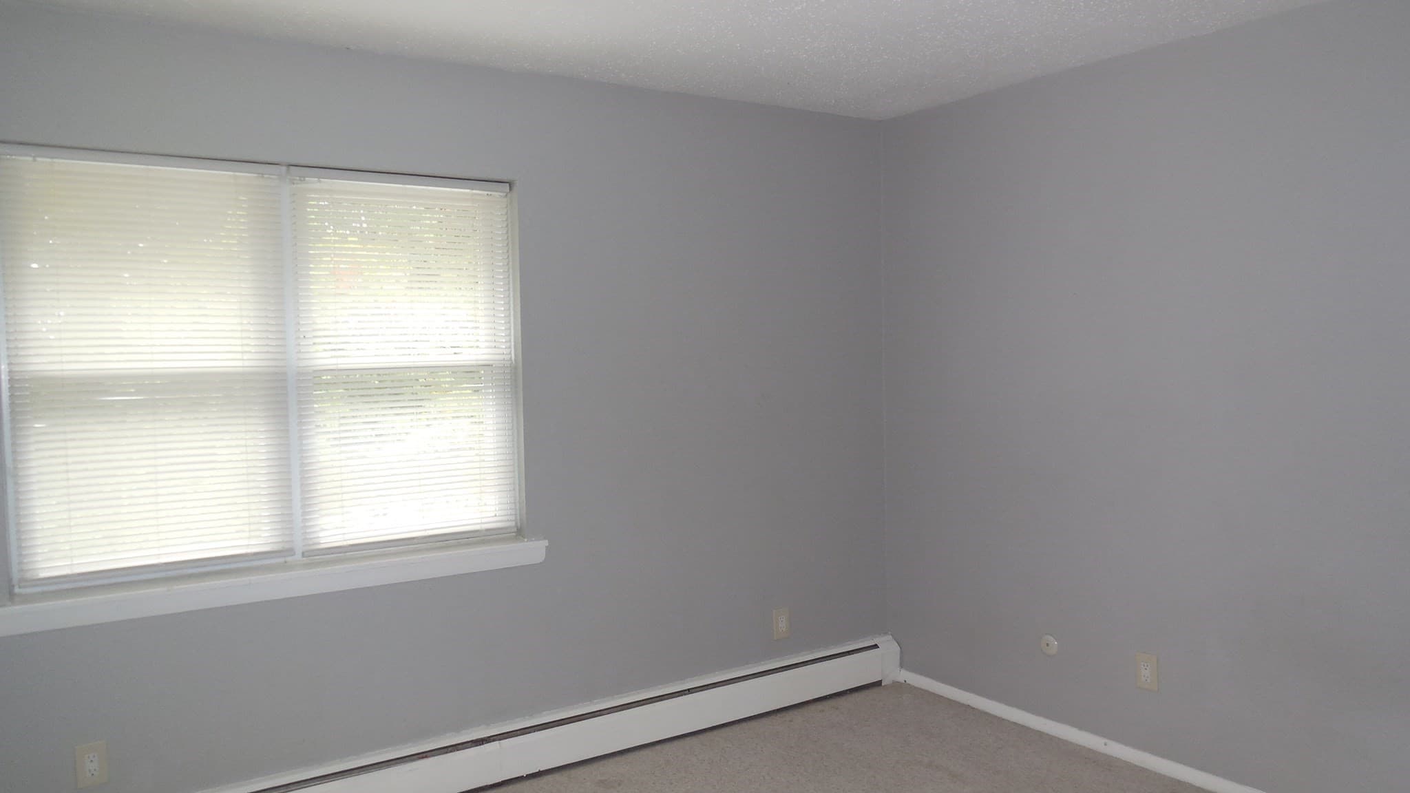 Condominium at 261 Regency Park Dr # 261, Agawam MA 01001, Agawam, photo 7 of 13
