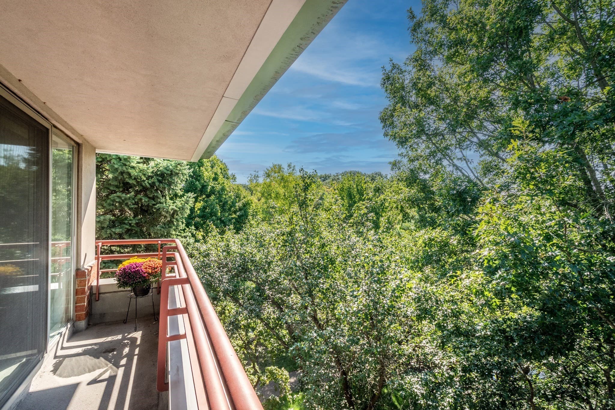 Condominium at 183 Oak Street # 308, Newton MA 02464, Newton, photo 9 of 23
