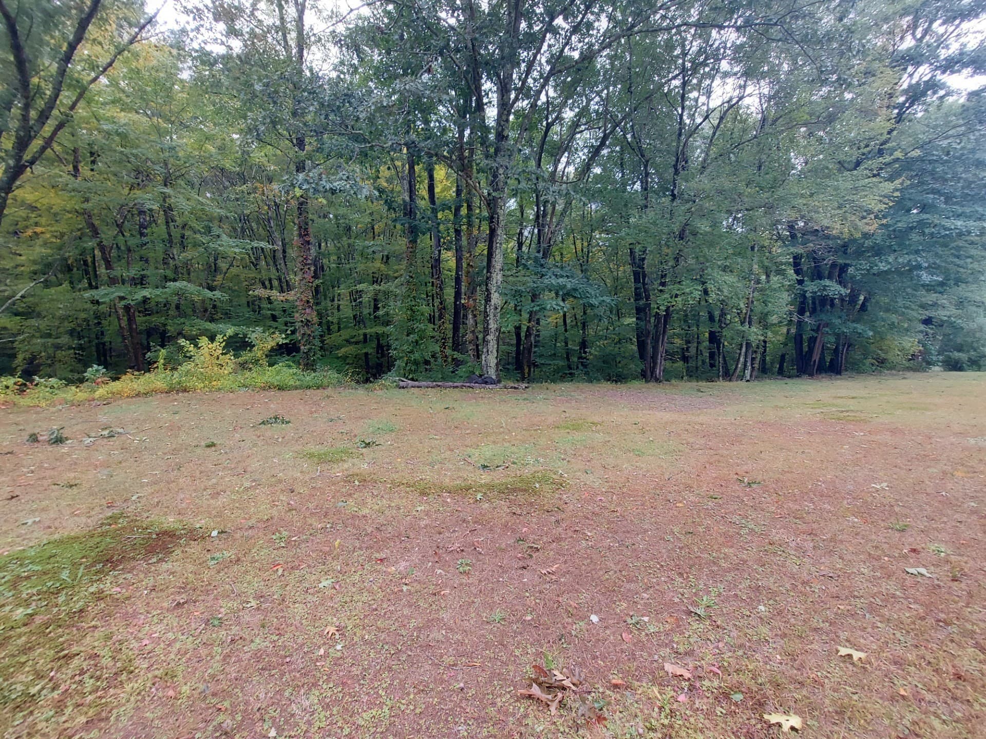 Single Family Residence at 226 Pine St, Leicester MA 01524, Leicester, photo 7 of 25