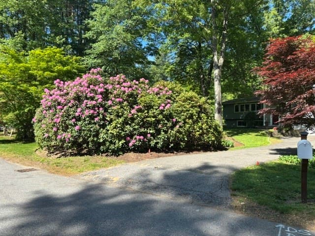 Condominium at 104 Dahlia Drive # 104, Wayland MA 01778, Wayland, photo 24 of 26