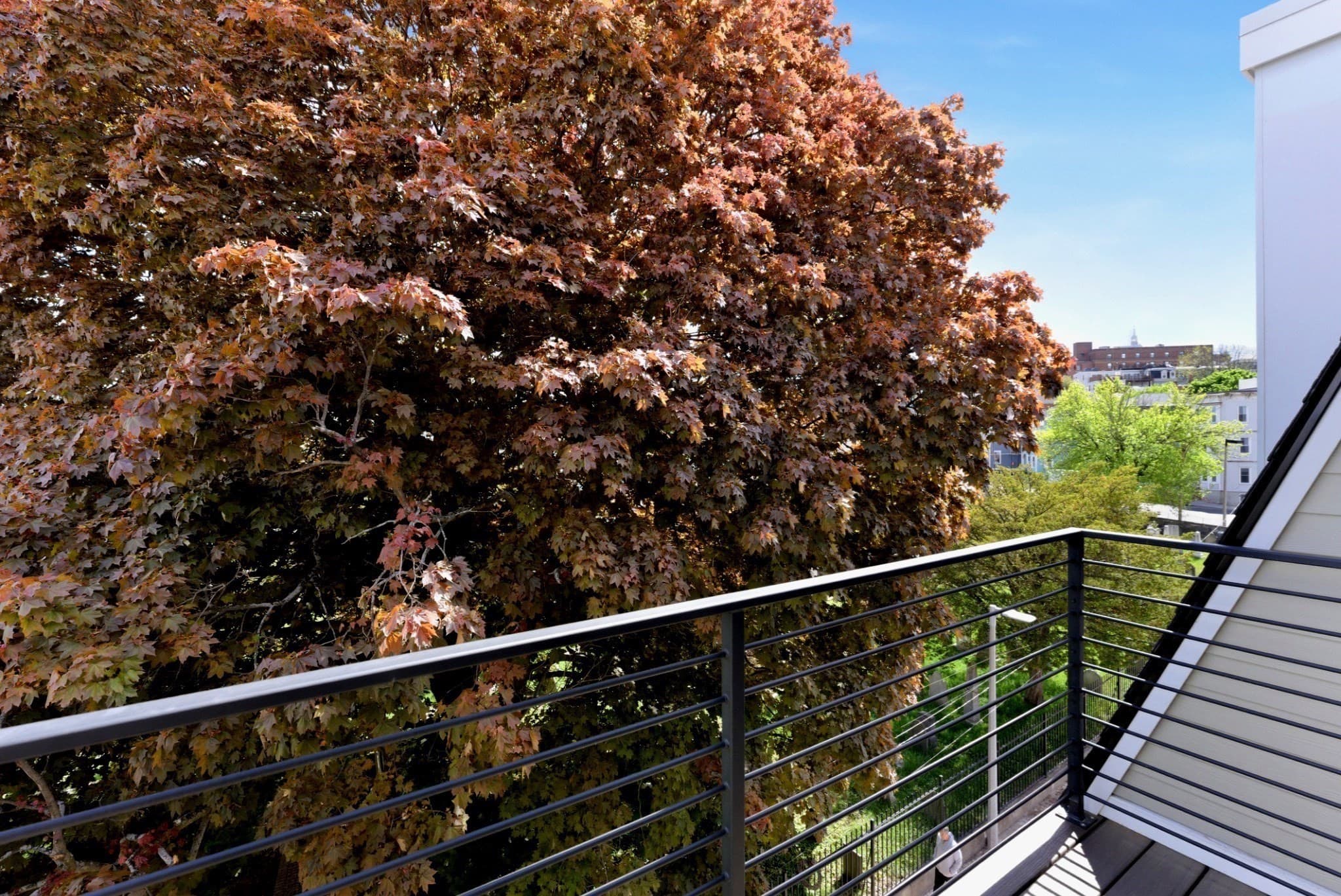Condominium at 209 Tudor Street # 3, Boston MA 02127, Boston, photo 14 of 24