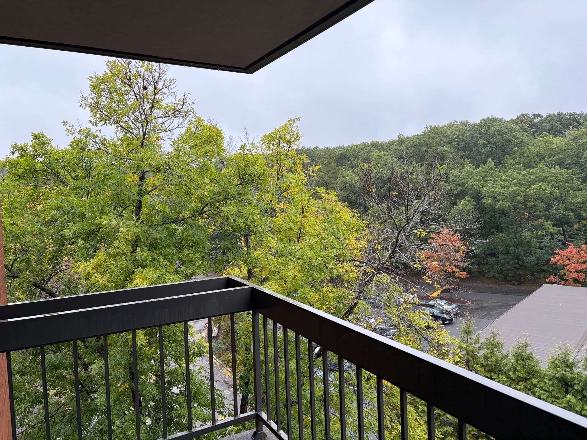 Condominium at 210 Nahanton St # 422, Newton MA 02459, Newton, photo 11 of 16
