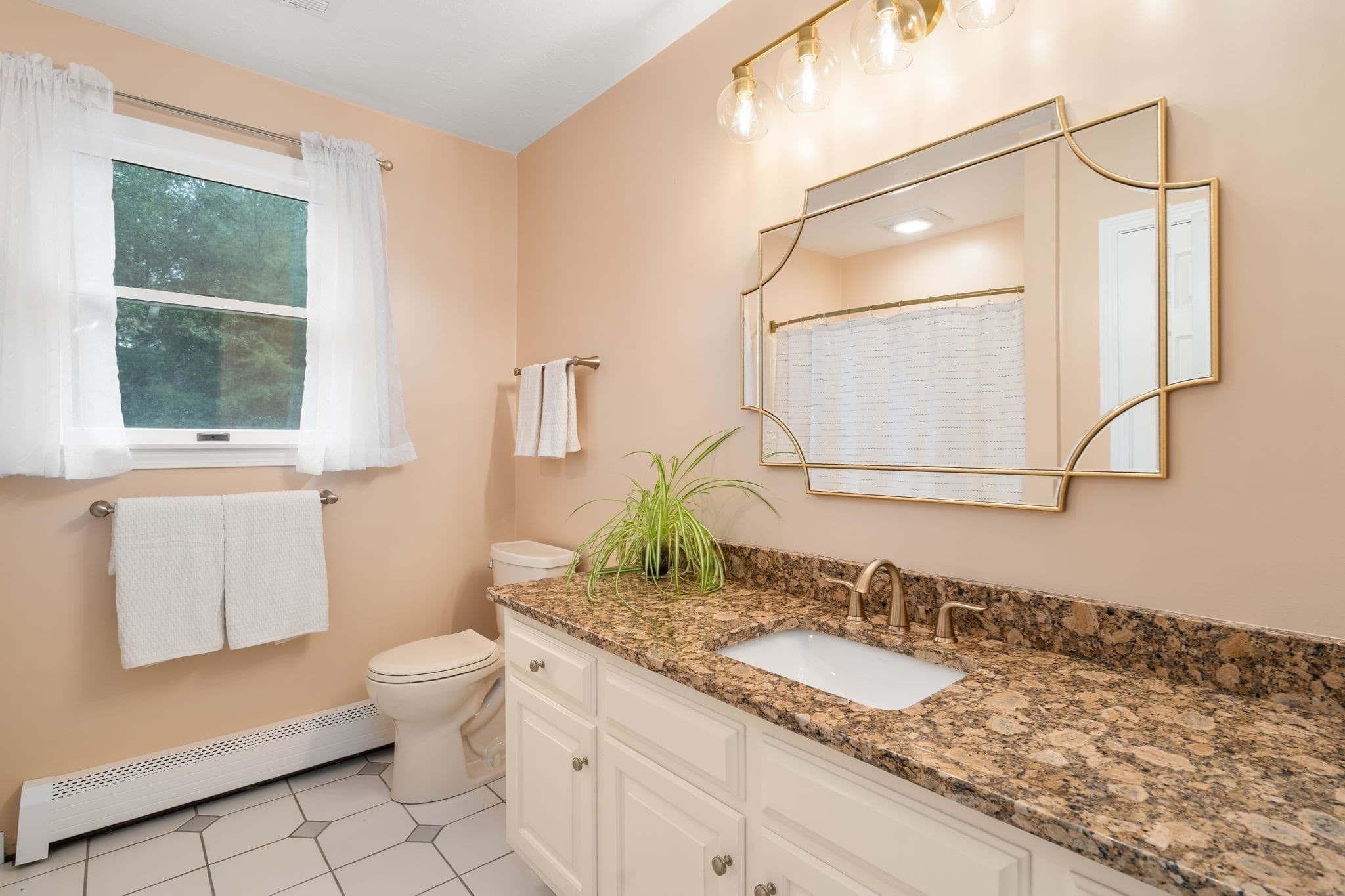 Single Family Residence at 20 Hunters Run, Franklin MA 02038, Franklin, photo 29 of 42