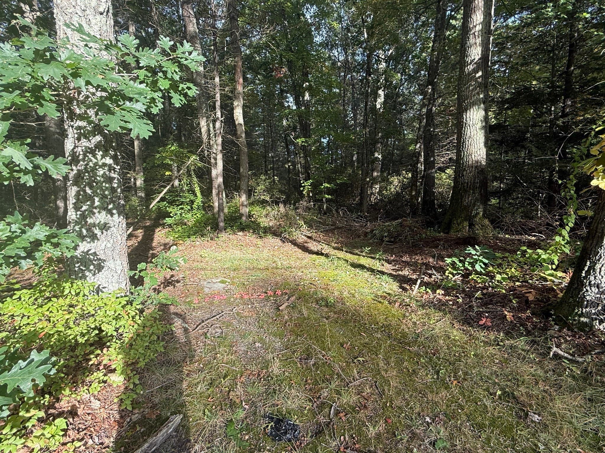Residential at Lot 1 Northwest Road, Westfield MA 01085, Westfield, photo 2 of 2