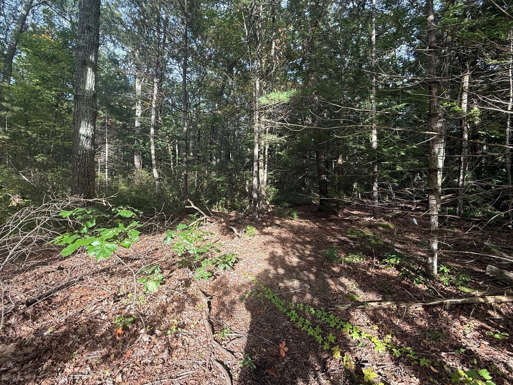 Residential at Lot 6 Northwest Road, Westfield MA 01085, Westfield, photo 2 of 2