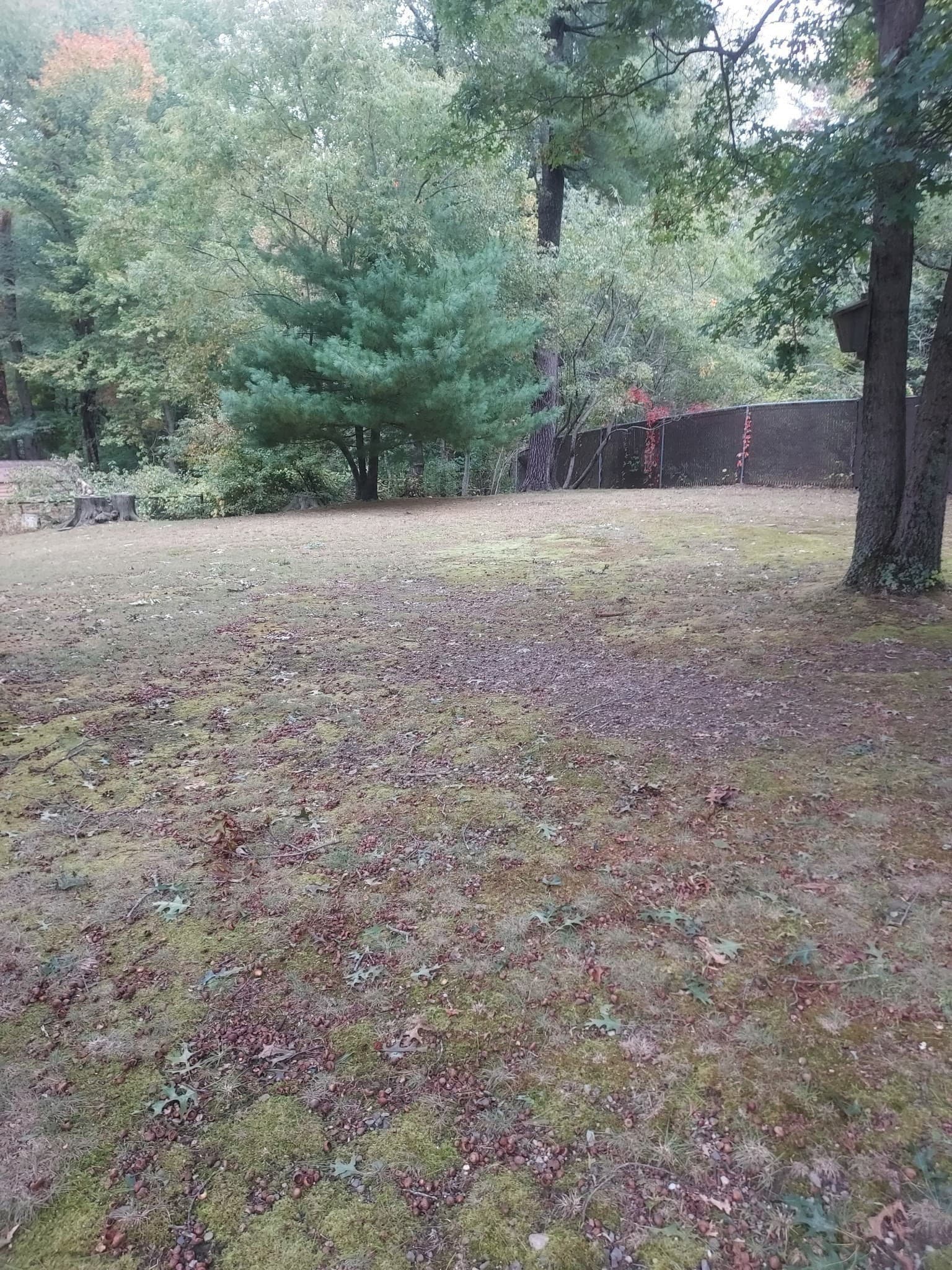 Single Family Residence at 25 Holloway St, Berkley MA 02779, photo 10 of 38