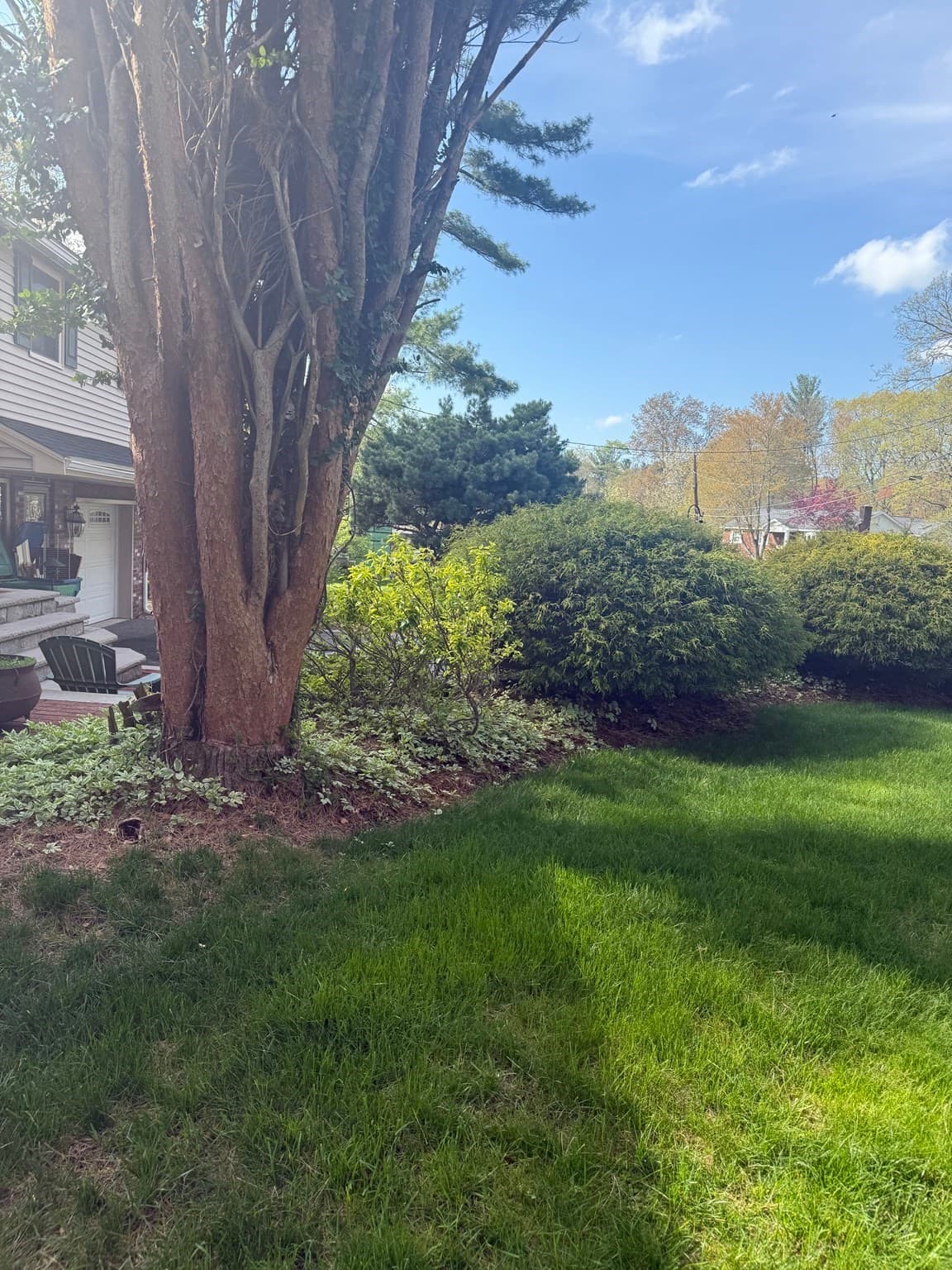 Single Family Residence at 42 Freeport Dr, Burlington MA 01803, Burlington, photo 33 of 38