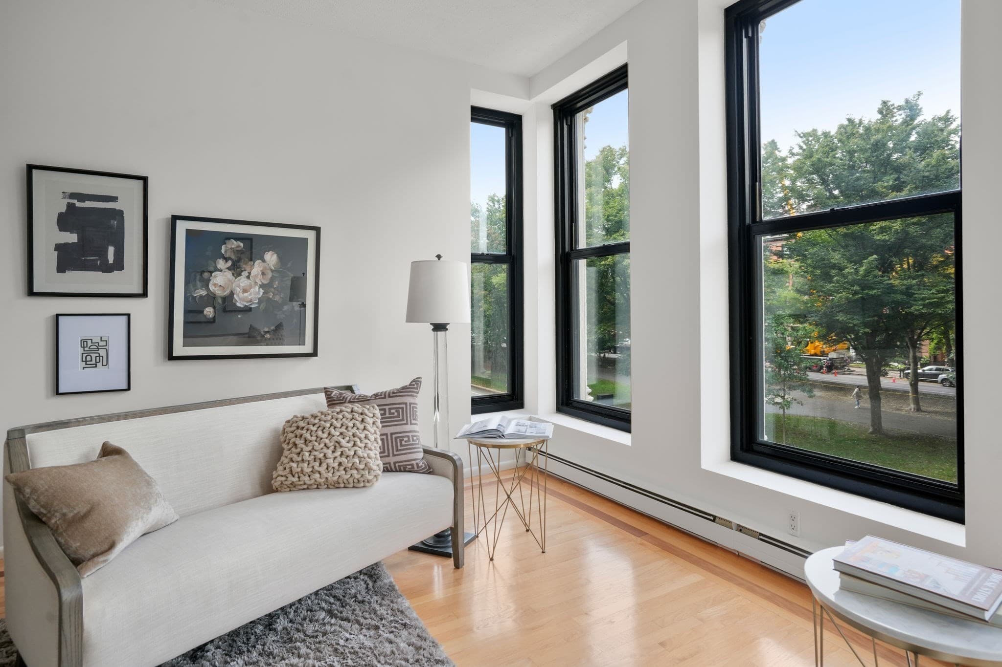 Condominium at 160 Commonwealth Avenue # 218, Boston MA 02116, Boston, photo 4 of 28