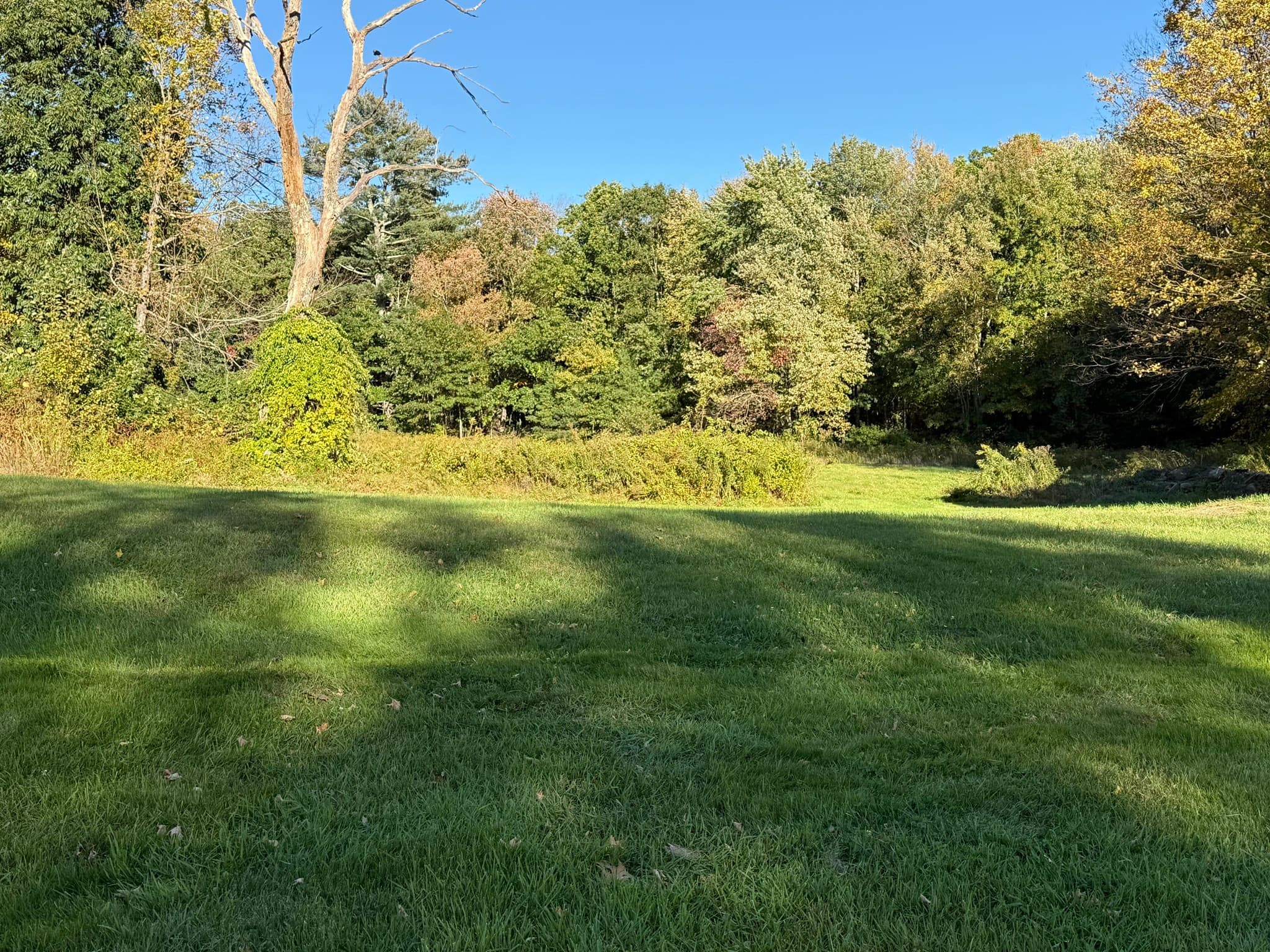 Single Family Residence at 221 Aldrich Street, Belchertown MA 01007, photo 31 of 41