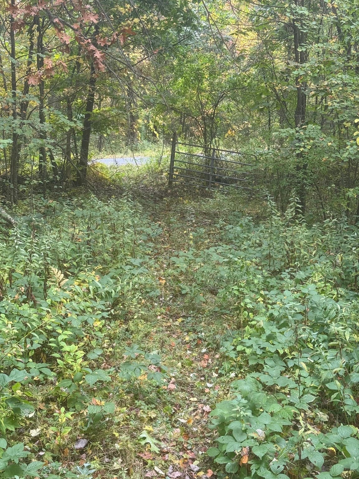 Agriculture at Lot 2A North Liberty St., Belchertown MA 01007, Belchertown, photo 6 of 10